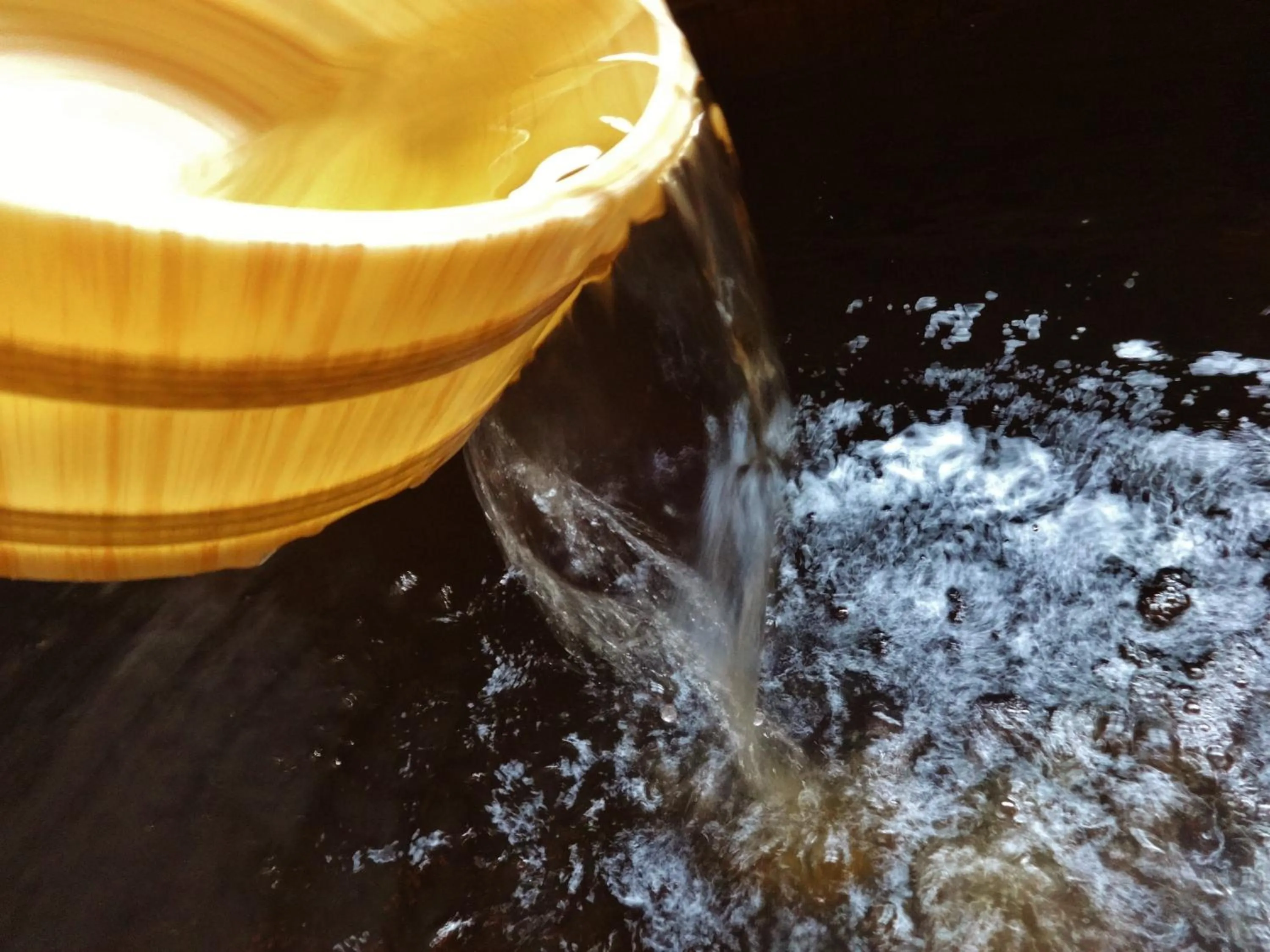 Hot Spring Bath in Tenryuso