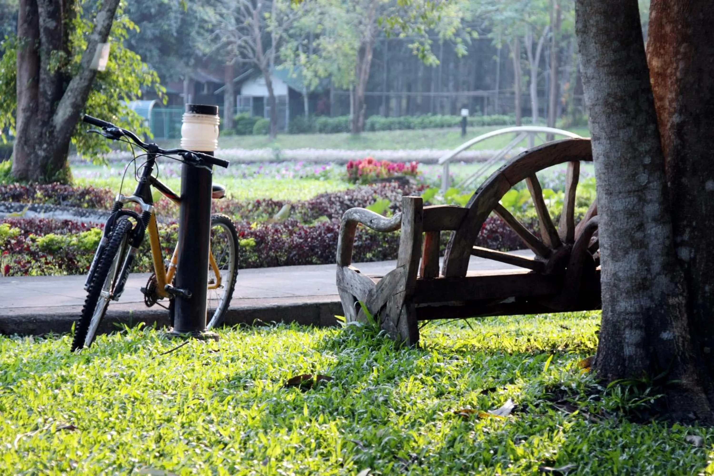 On site in Wanathara Resort