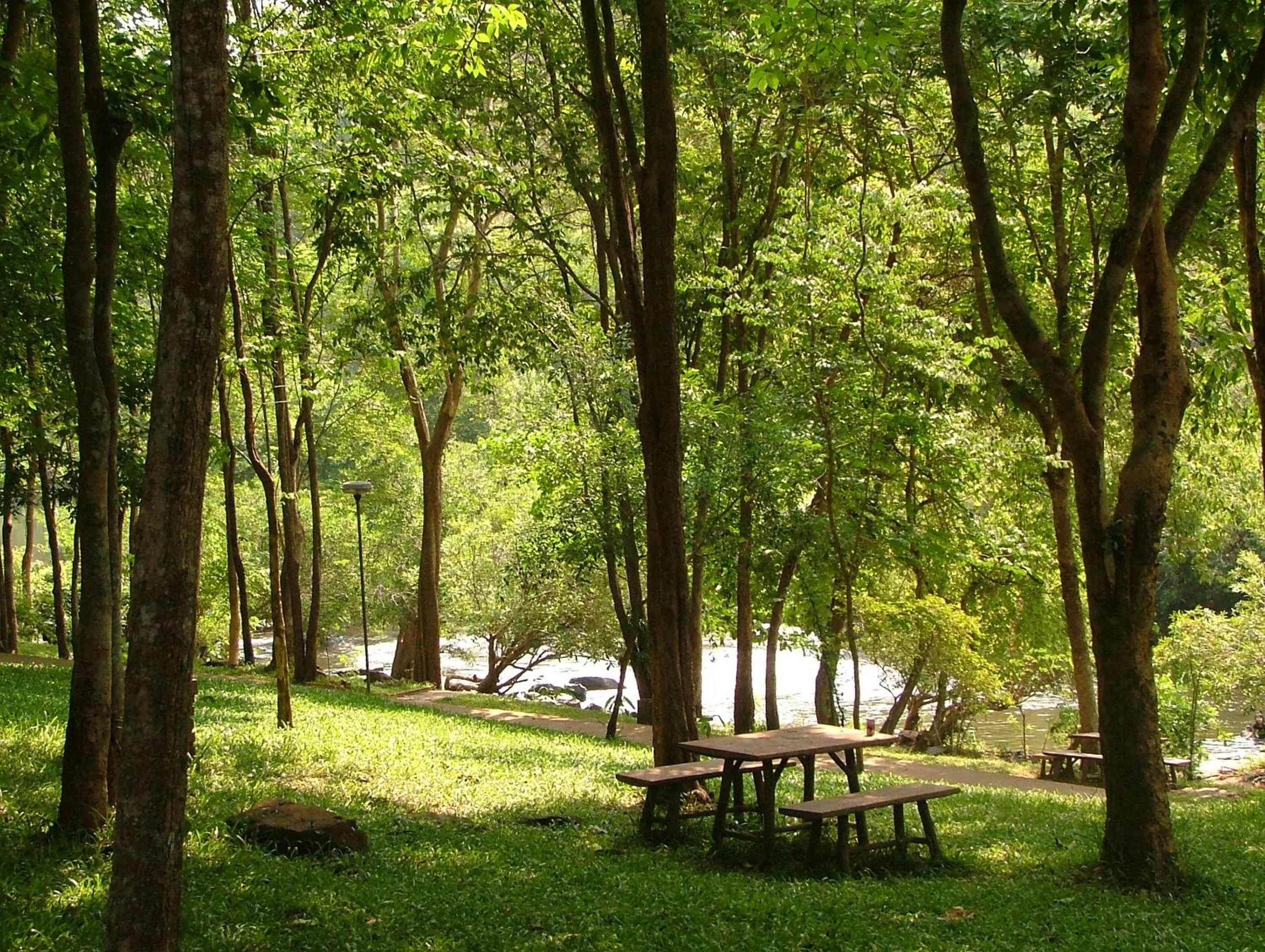 Natural landscape in Wanathara Resort
