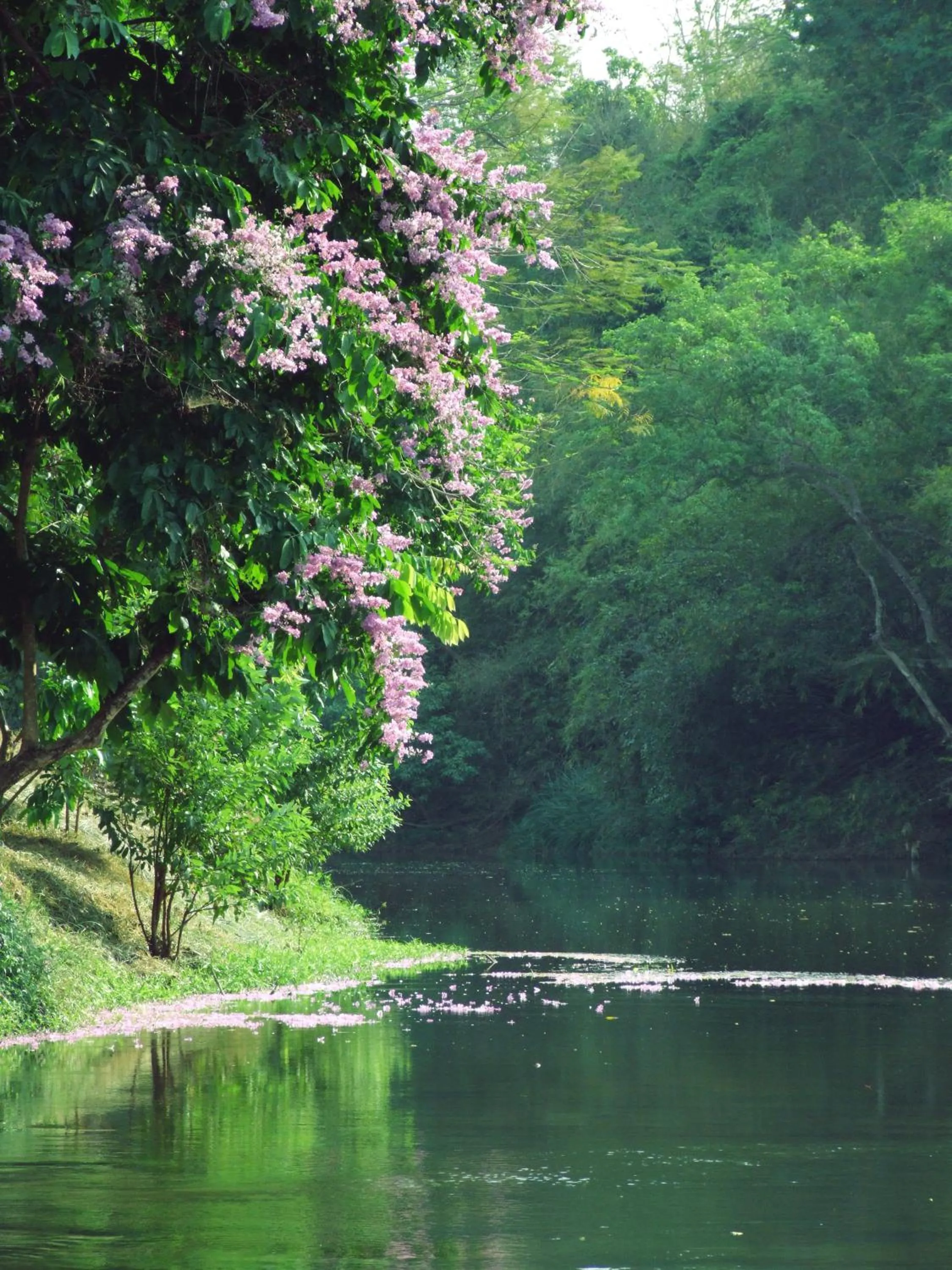 Natural landscape in Wanathara Resort