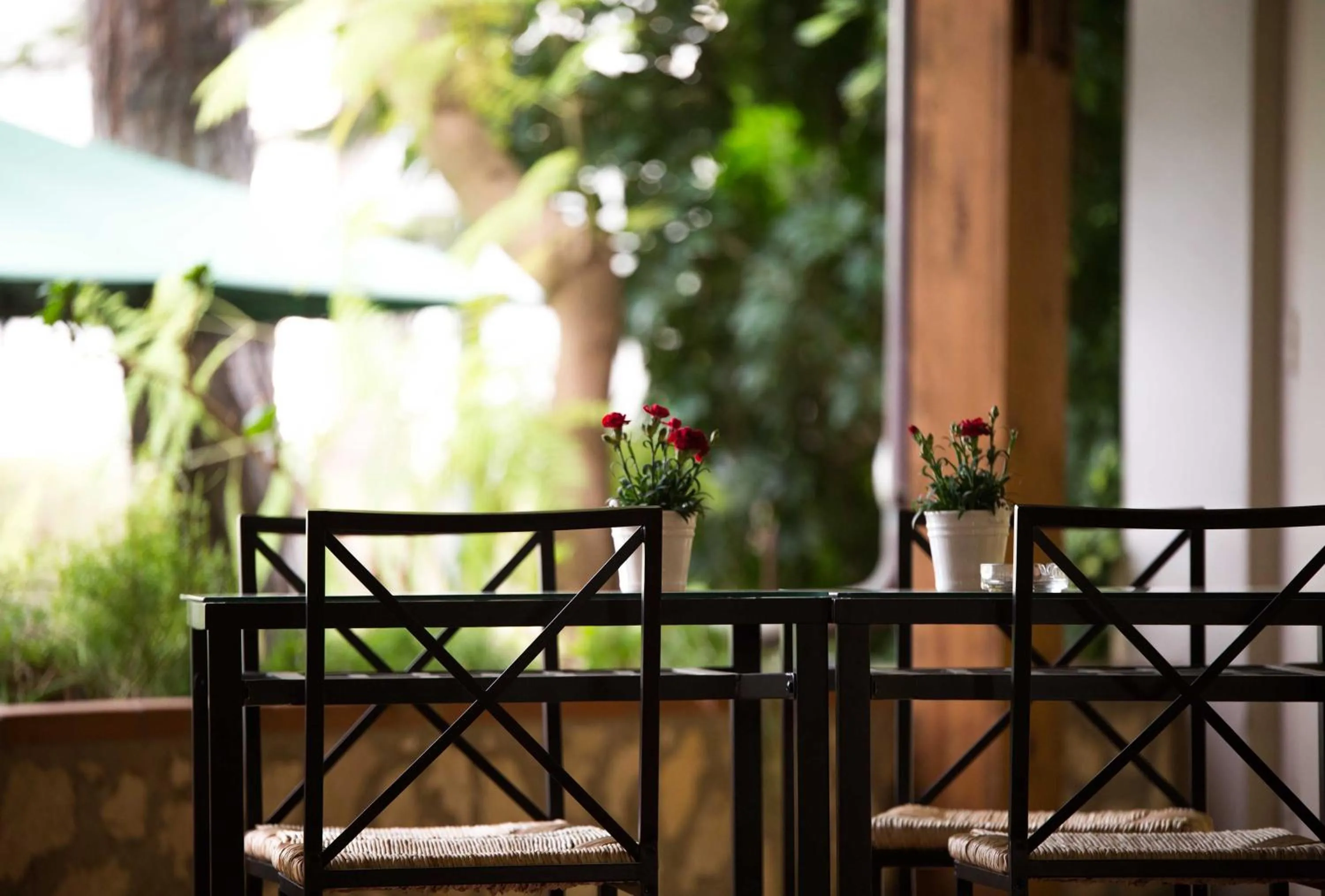 Balcony/Terrace in Park Hotel