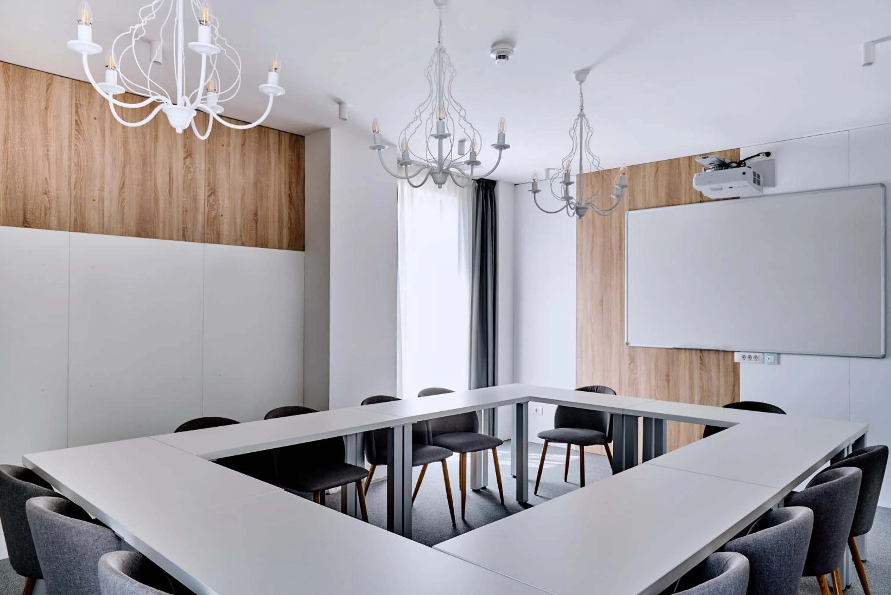 Business facilities in ibis Styles Arad