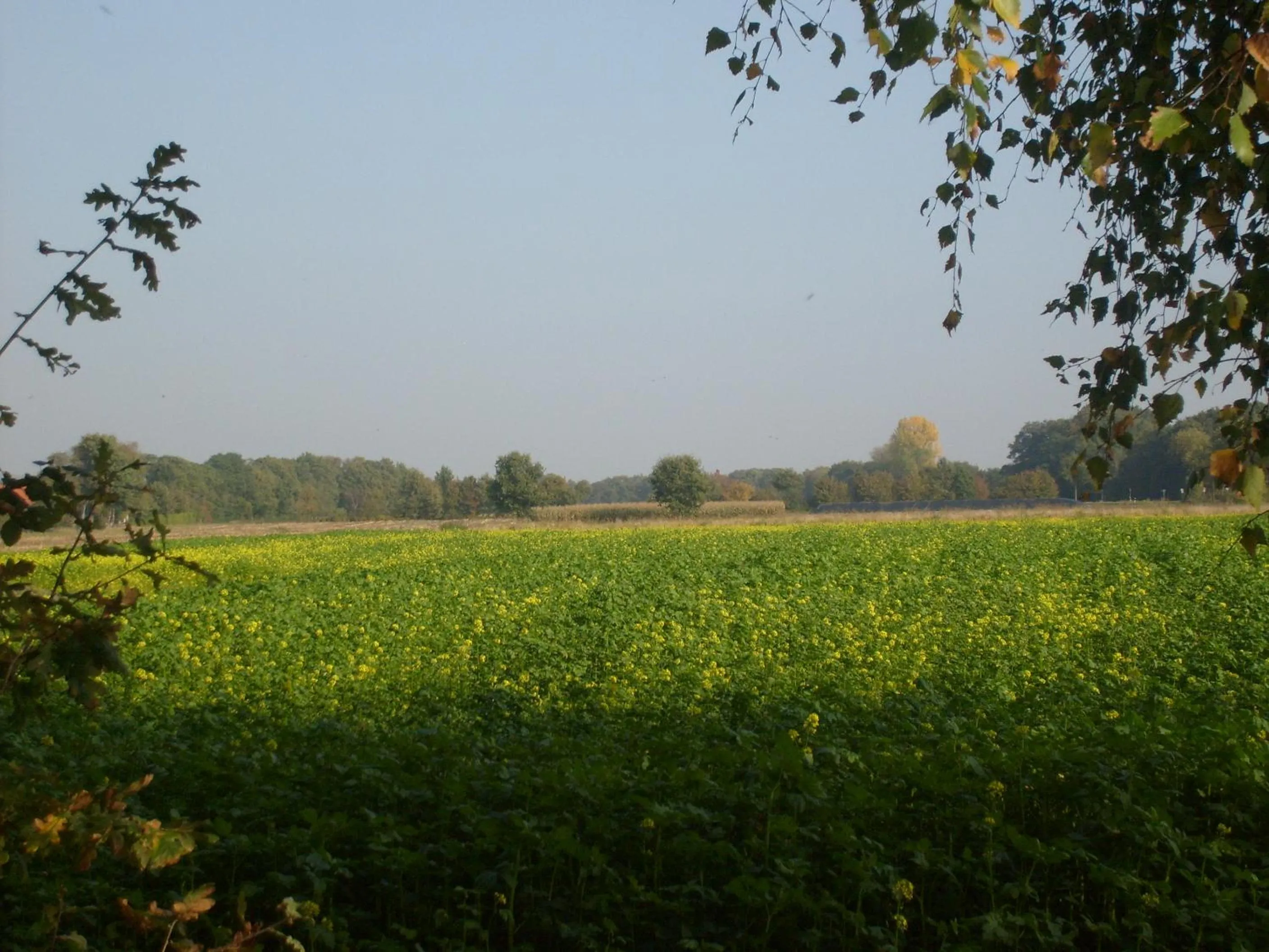 Natural landscape in dS Hotel Gronau