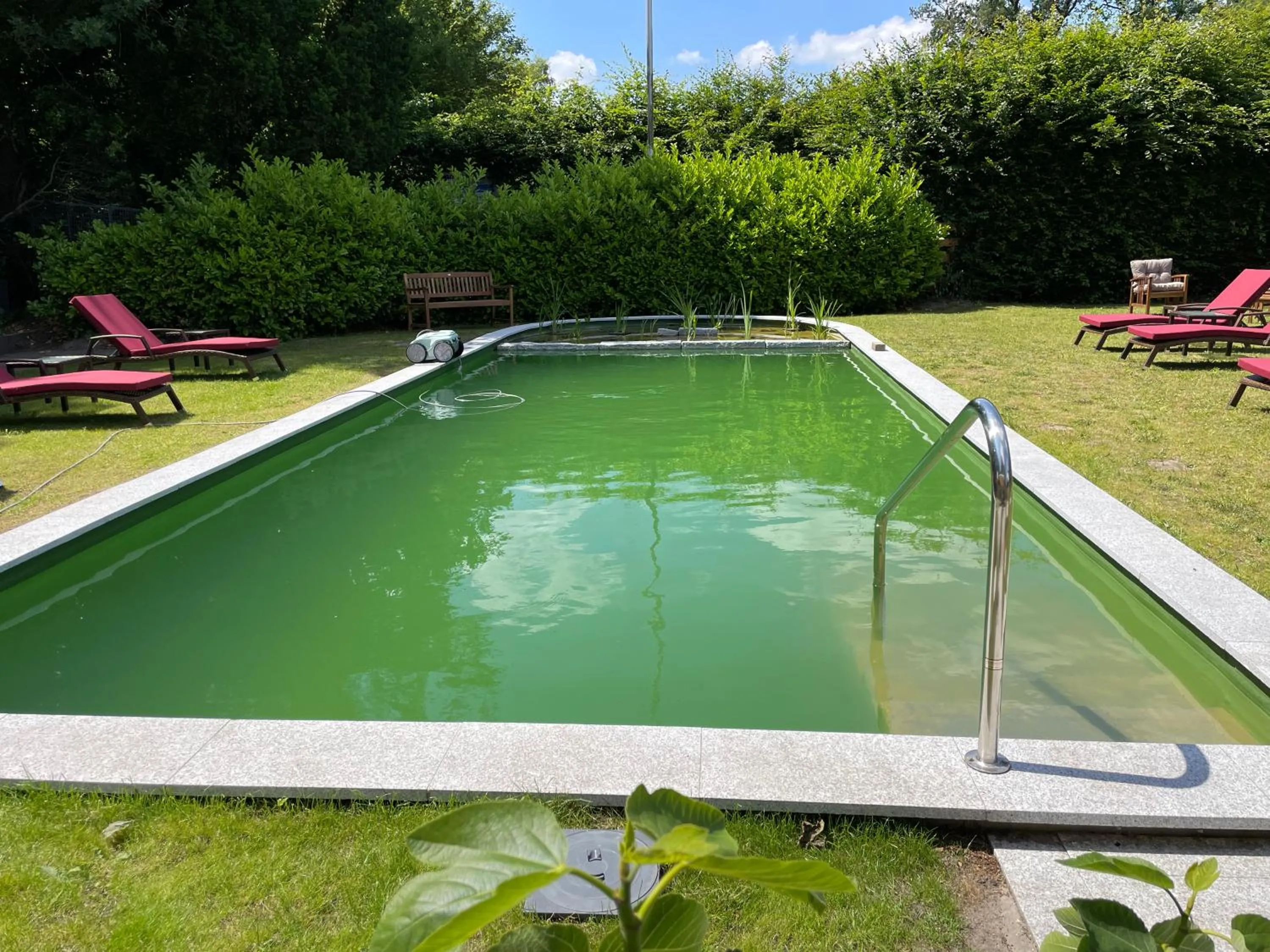 Swimming pool in dS Hotel Gronau