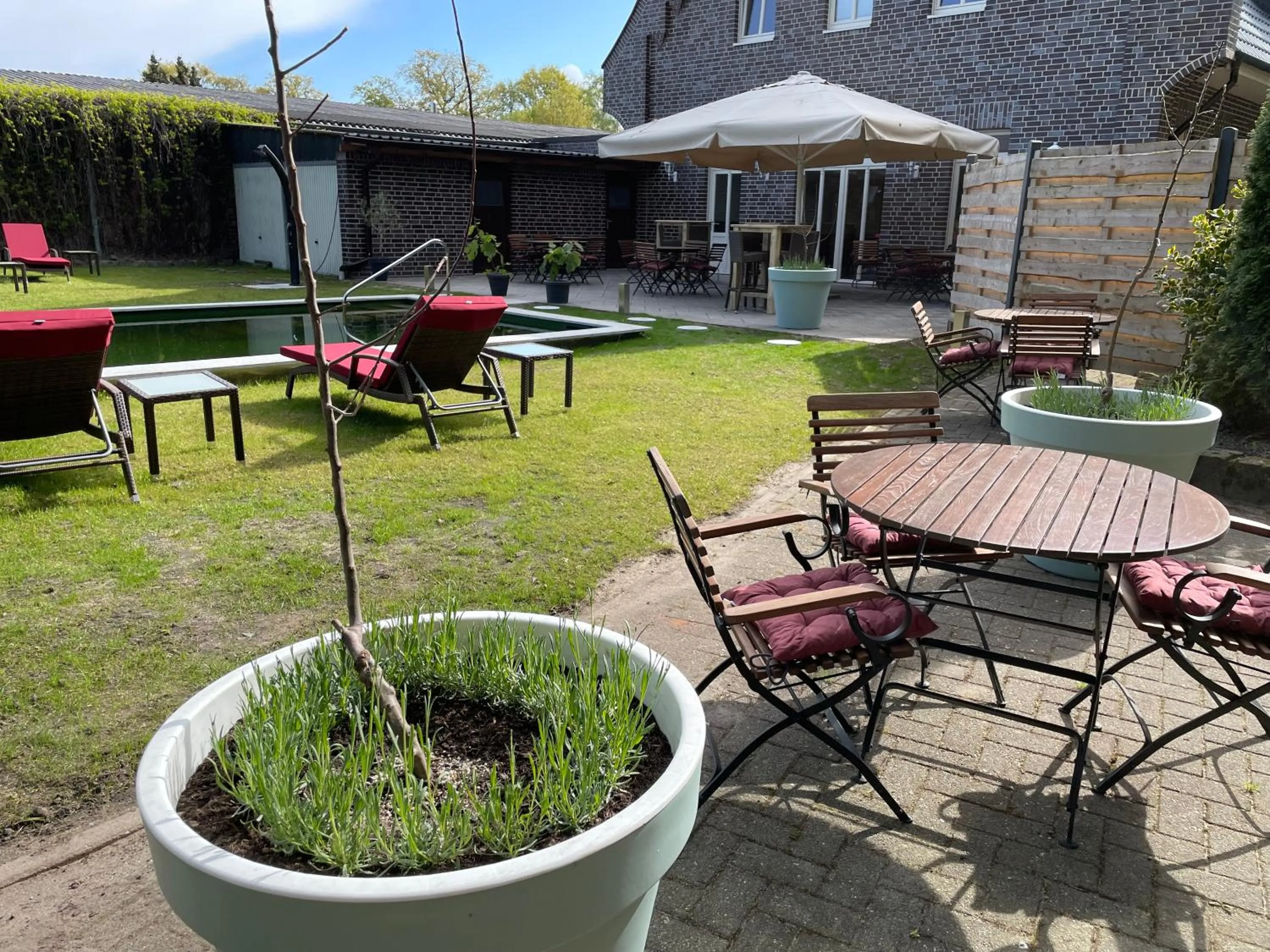 Swimming pool in dS Hotel Gronau