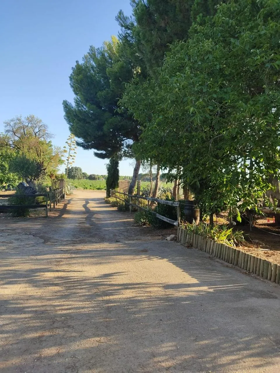 Garden in Casa Rural La Navarra