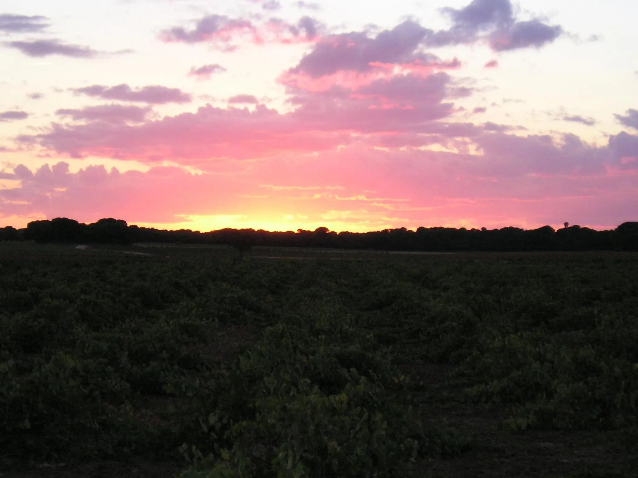 Natural landscape in Casa Rural La Navarra