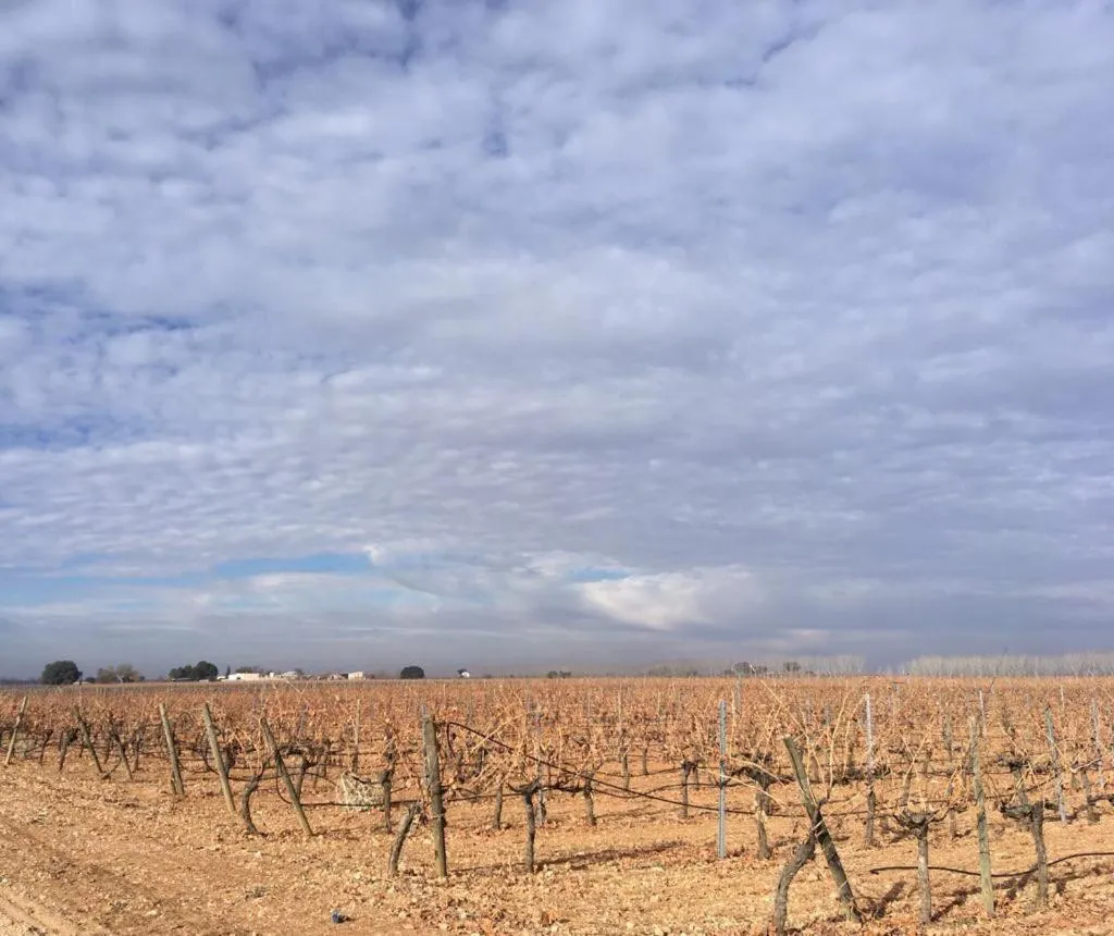 Natural landscape in Casa Rural La Navarra