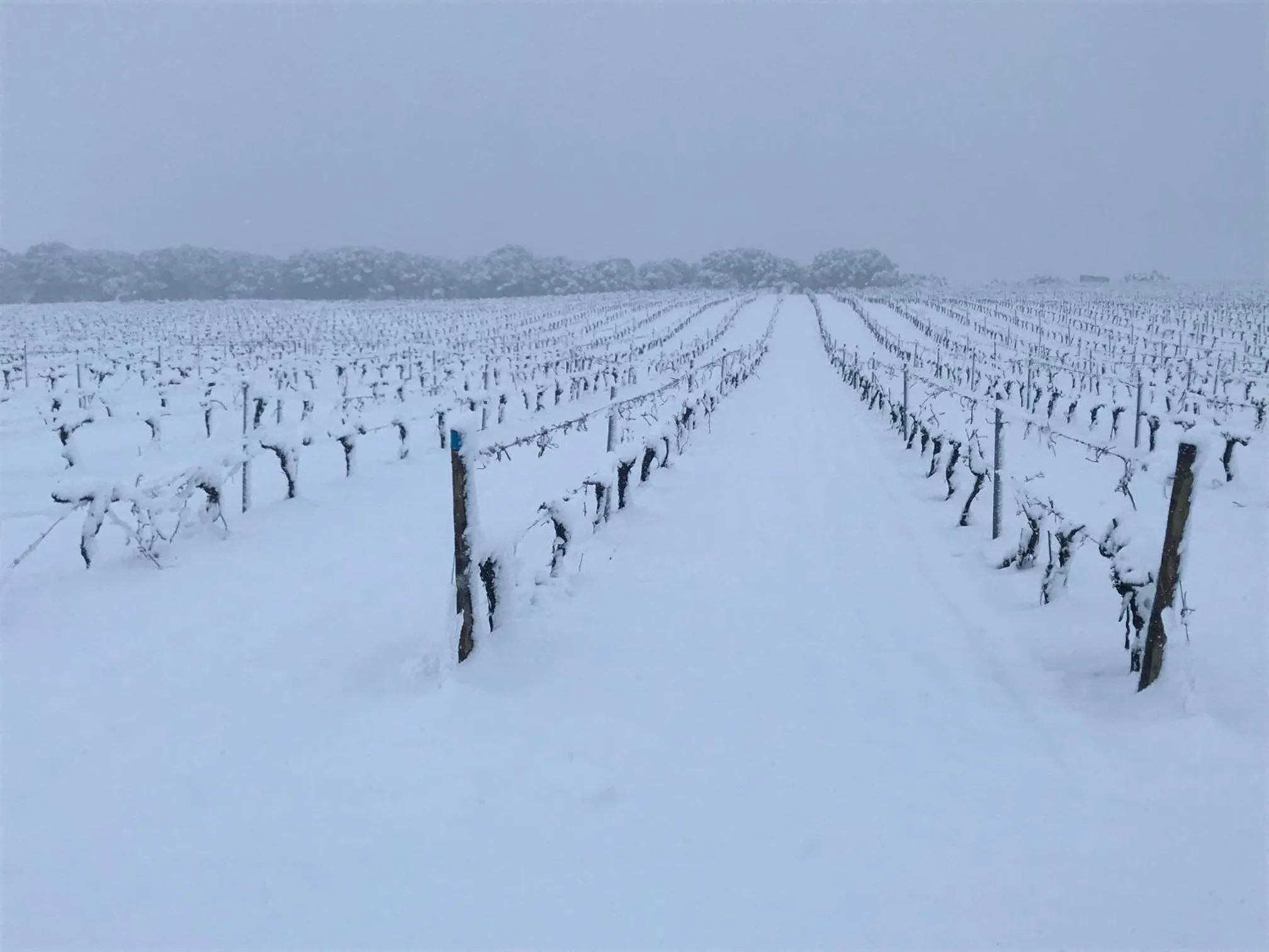 Natural landscape in Casa Rural La Navarra