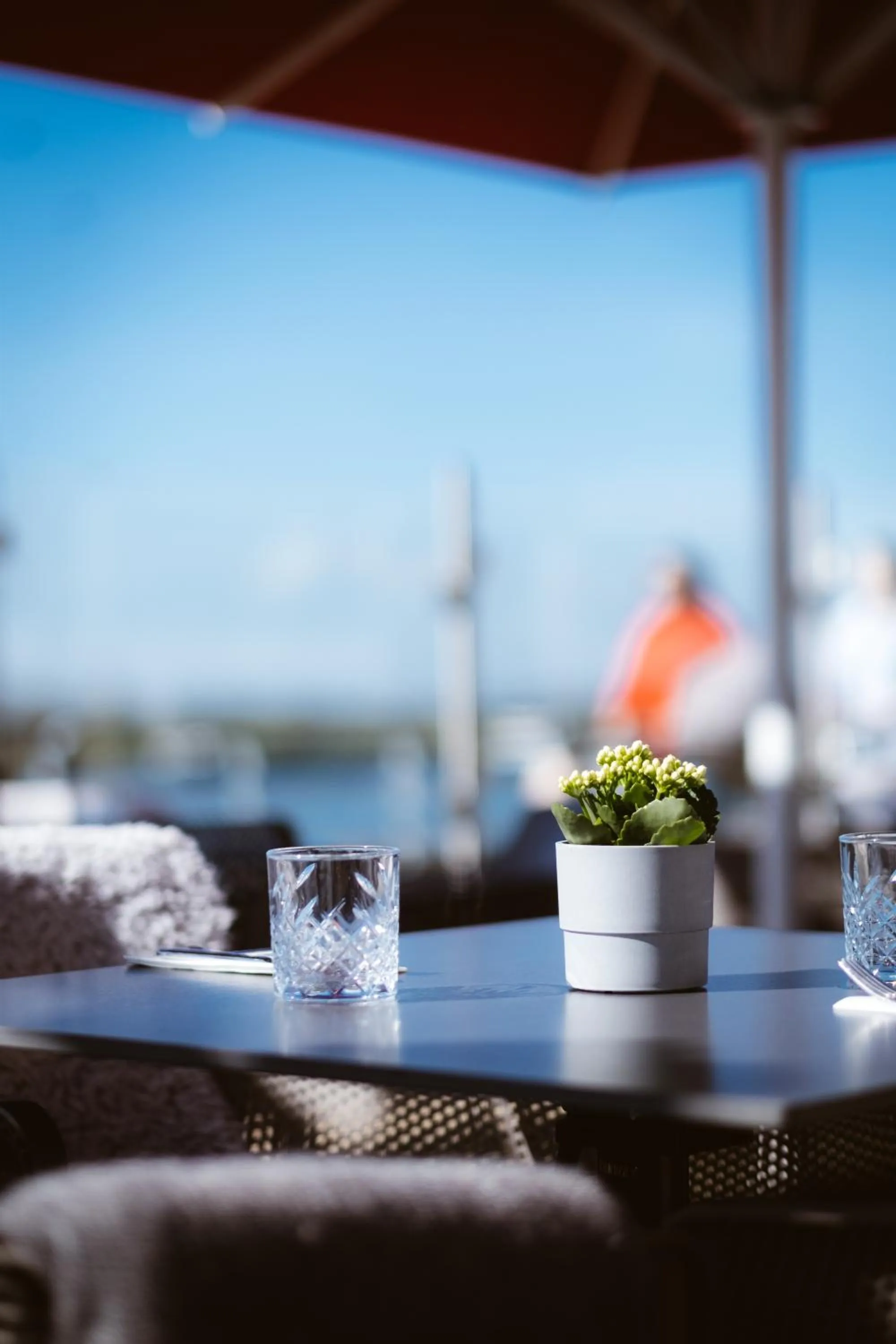 Balcony/Terrace in Hotel Rheinpromenade8