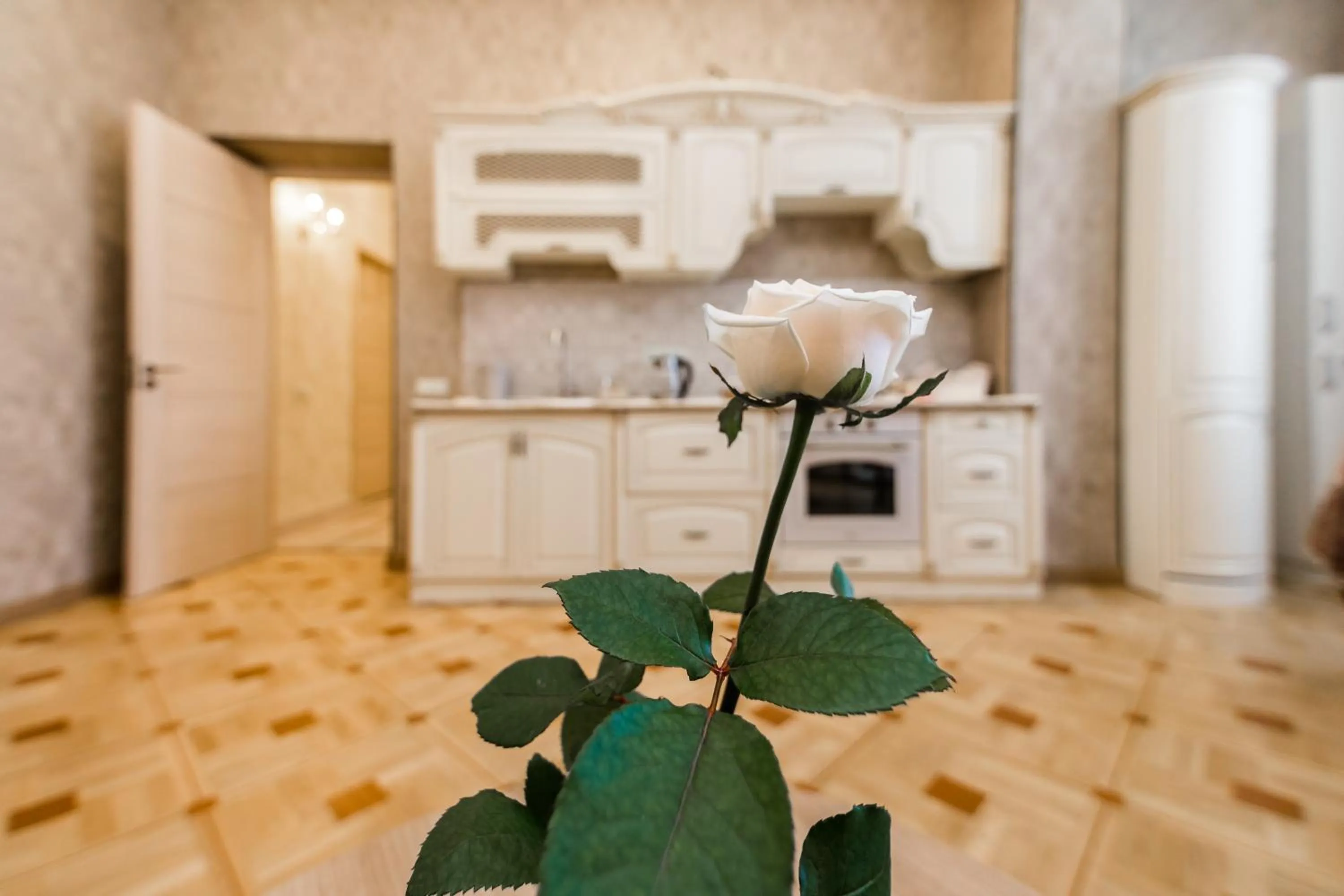 Kitchen or kitchenette in Dat Exx Apartments on Marjanishvili