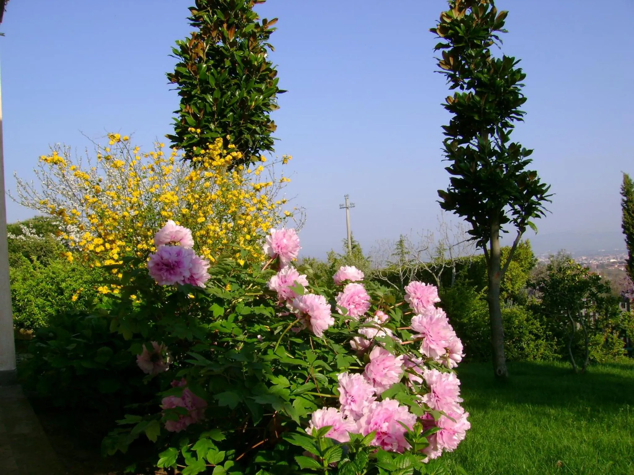 Garden in La Paloma B&B di Charme