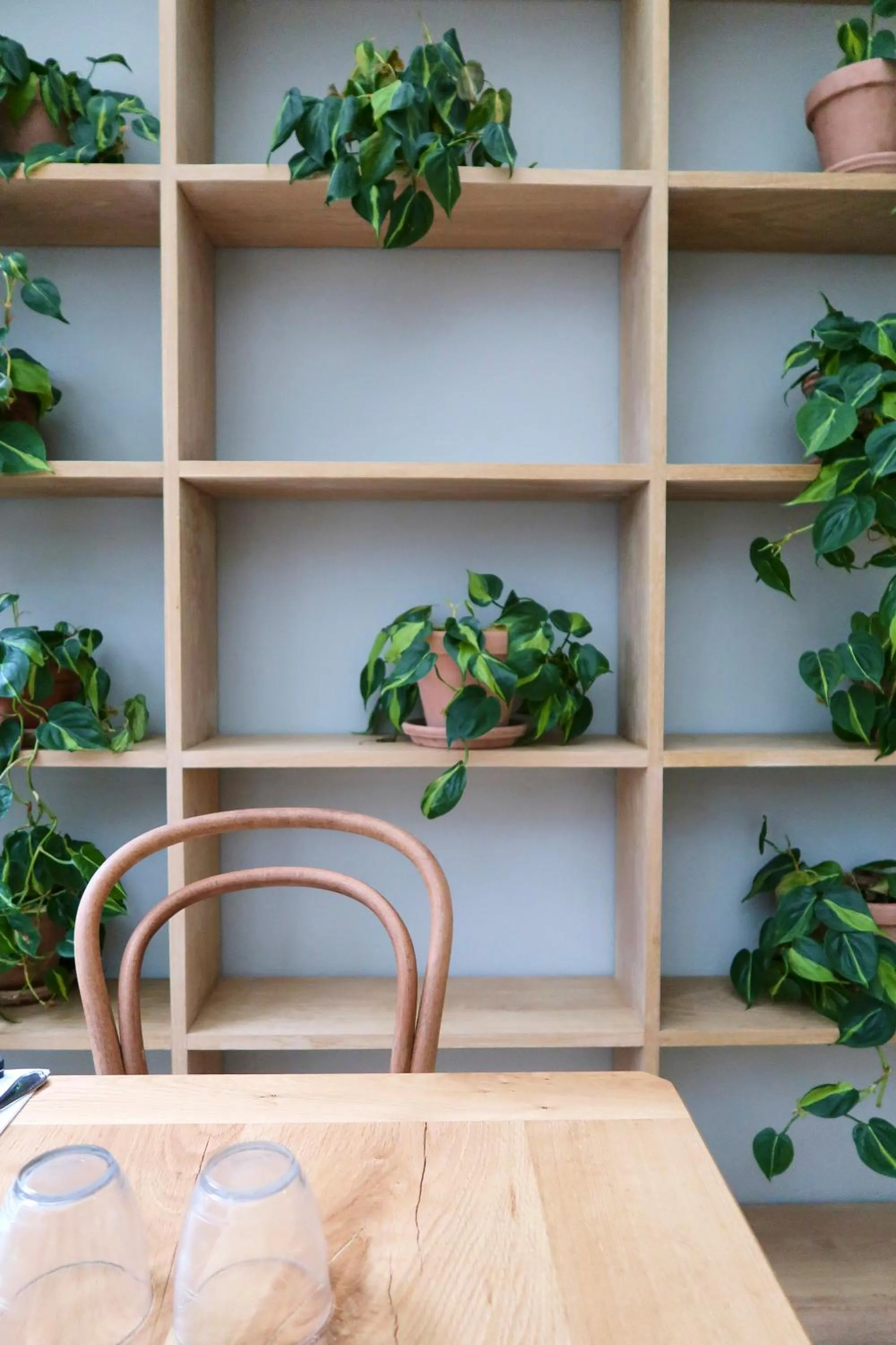 Restaurant/places to eat in Hotel Alexandra