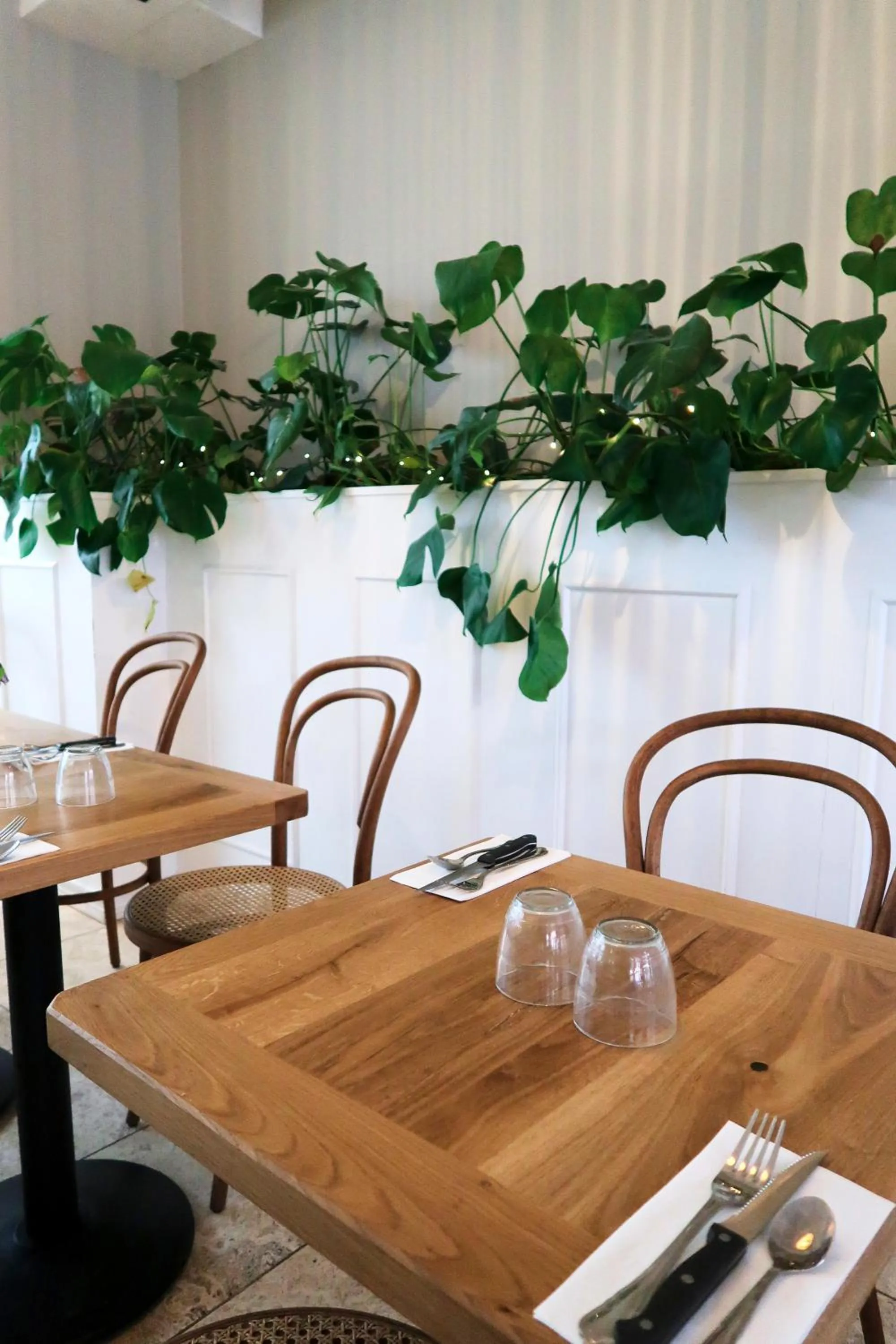 Restaurant/places to eat in Hotel Alexandra