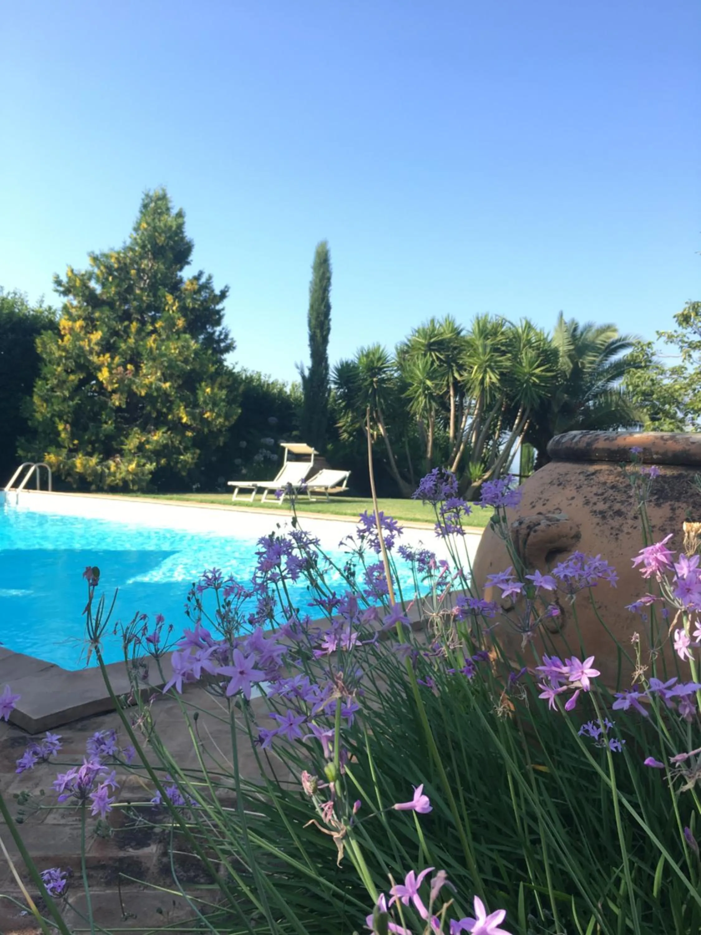 Garden in Agriturismo Castello Santa Margherita