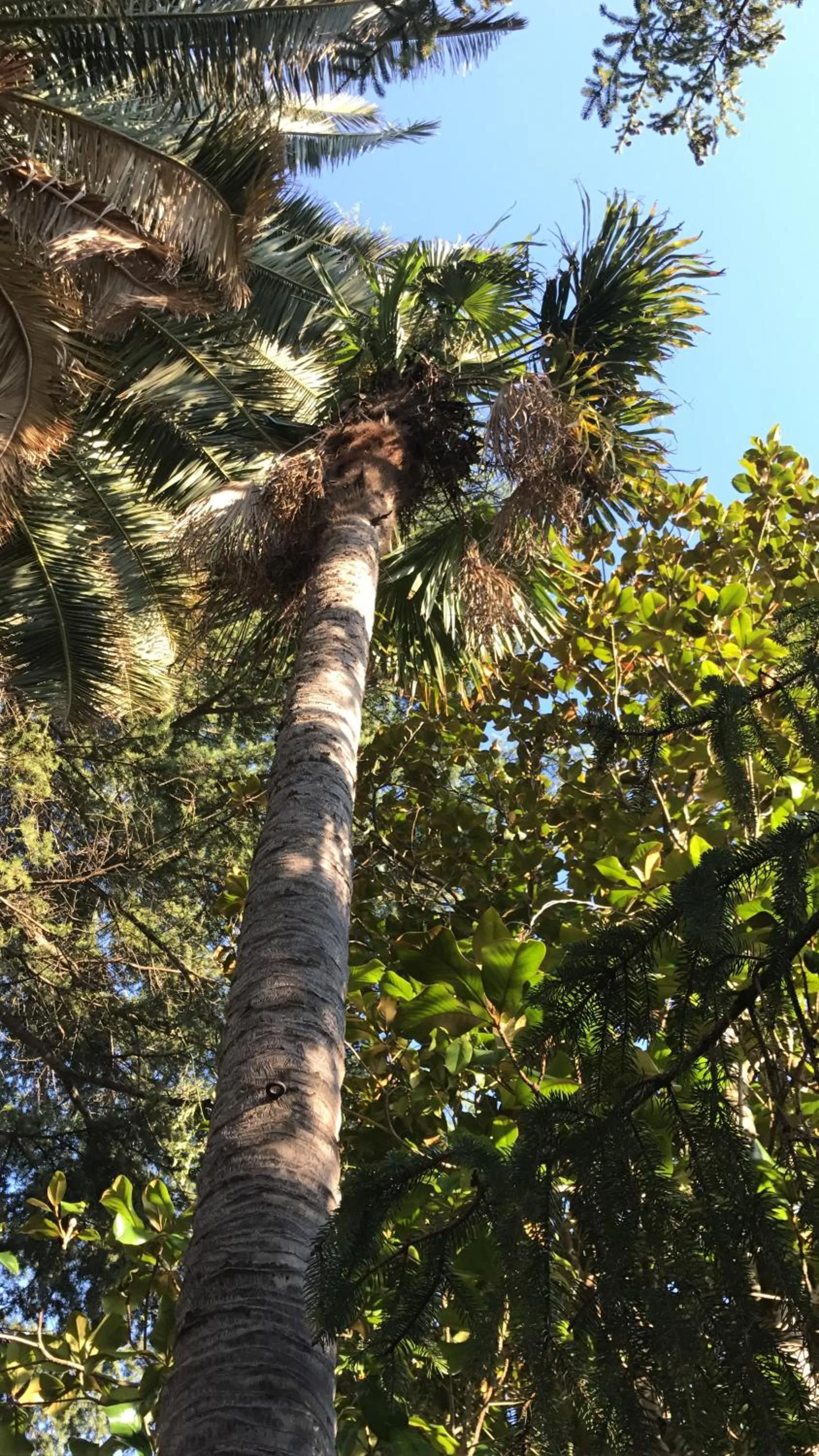 Garden in Agriturismo Castello Santa Margherita