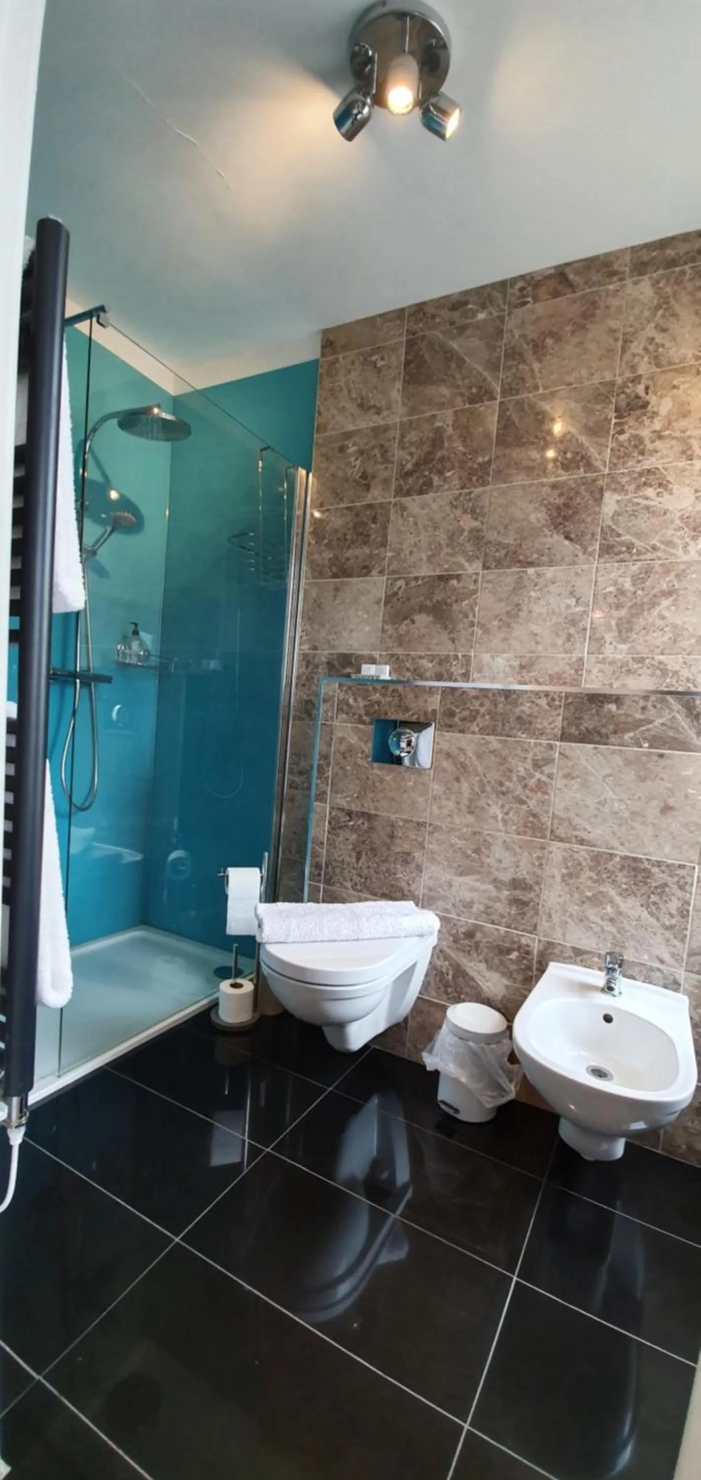 Shower in The Bronze Pig