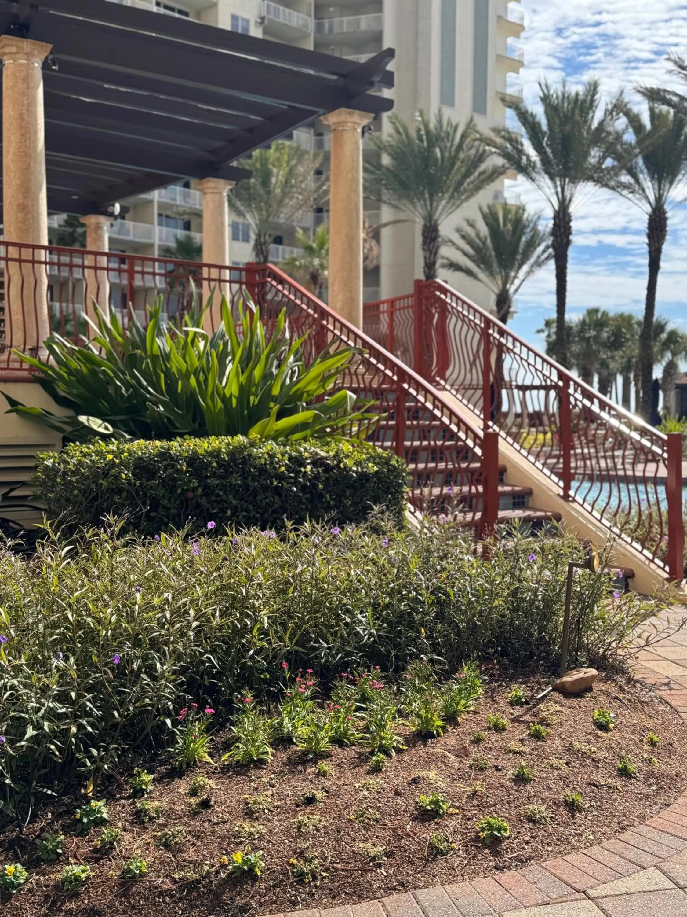 Natural landscape in Shores of Panama Resort