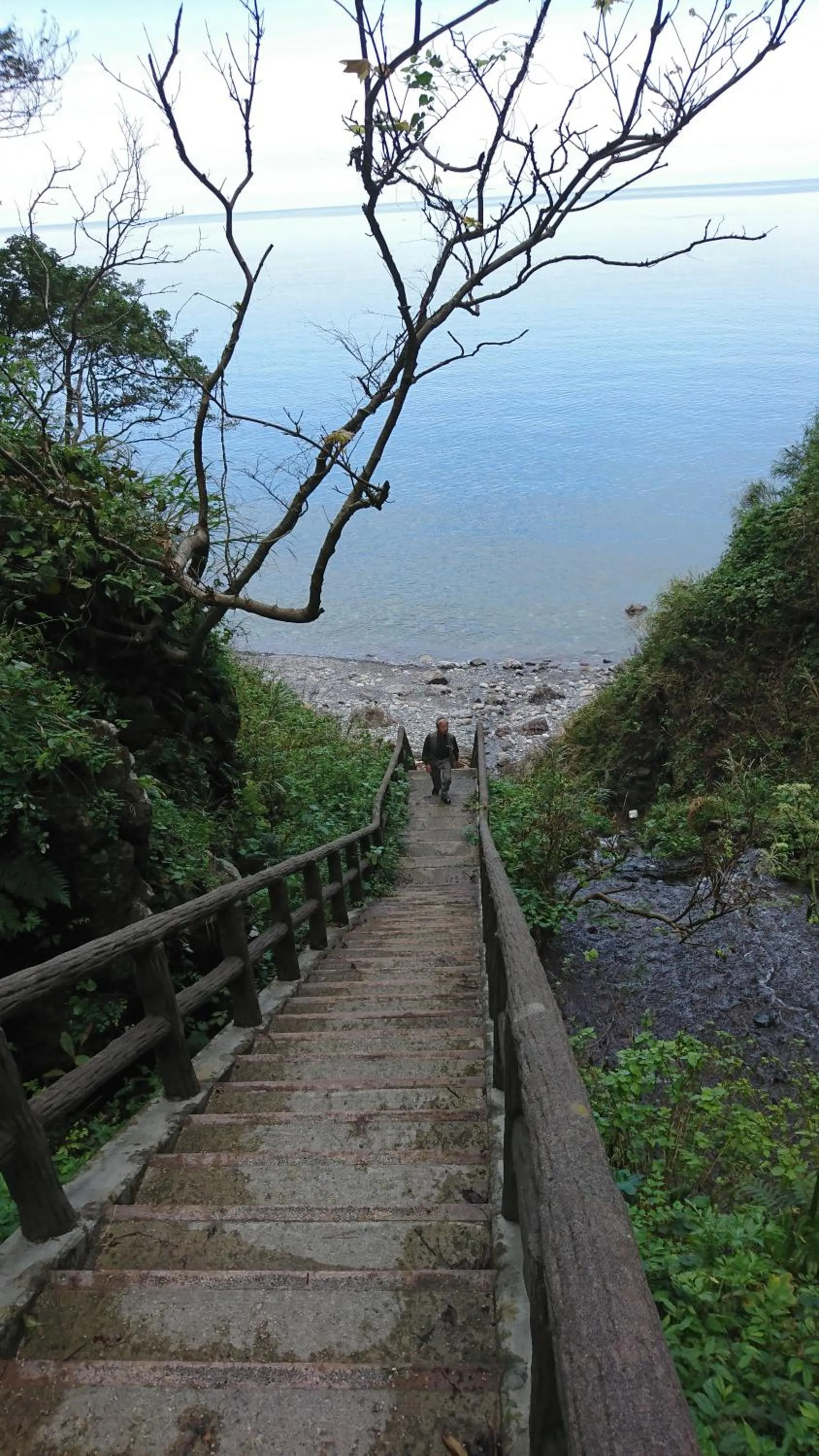 Natural landscape in Live Cafe Hisui no Umi
