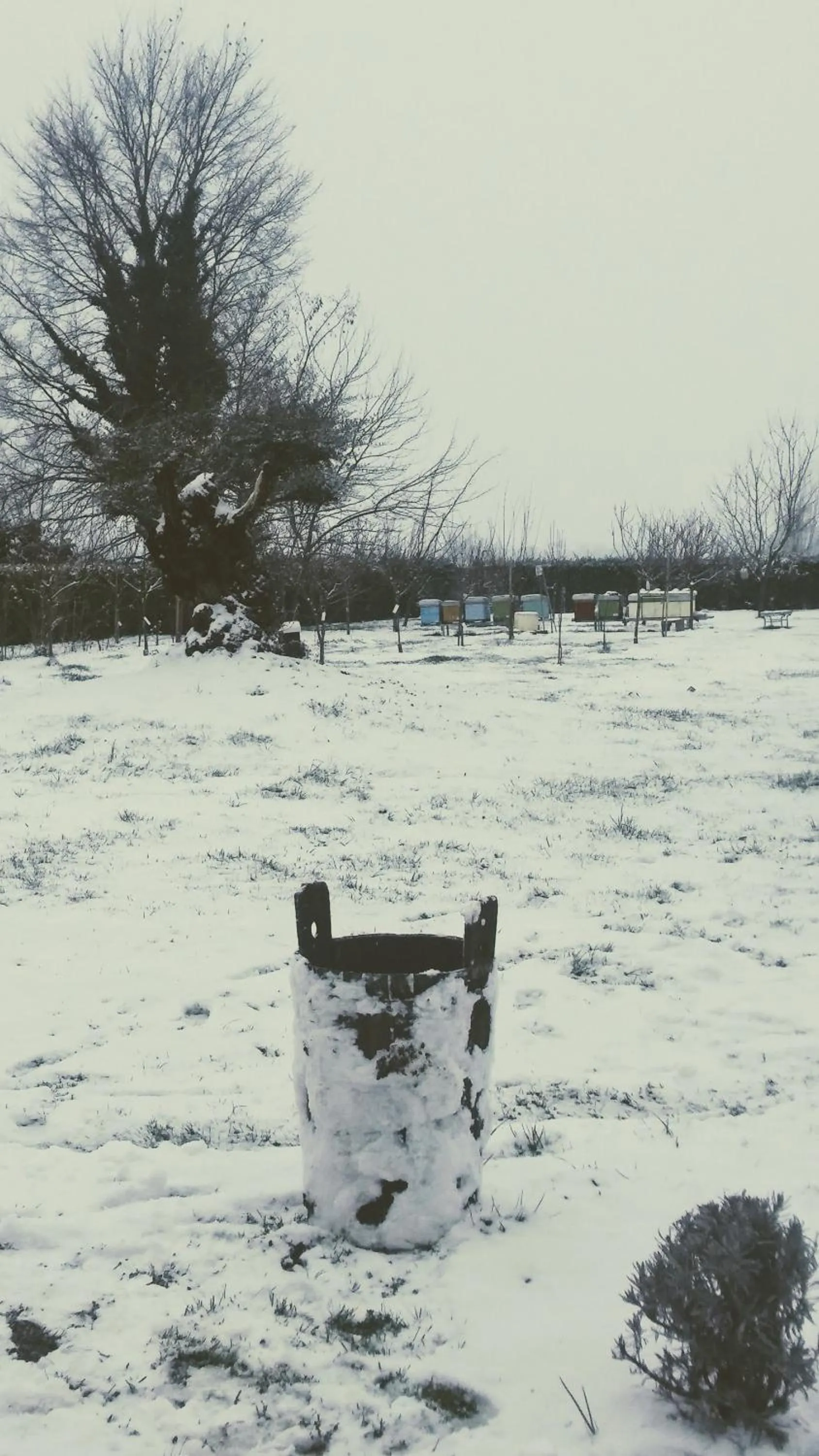 Agriturismo Honey Farm