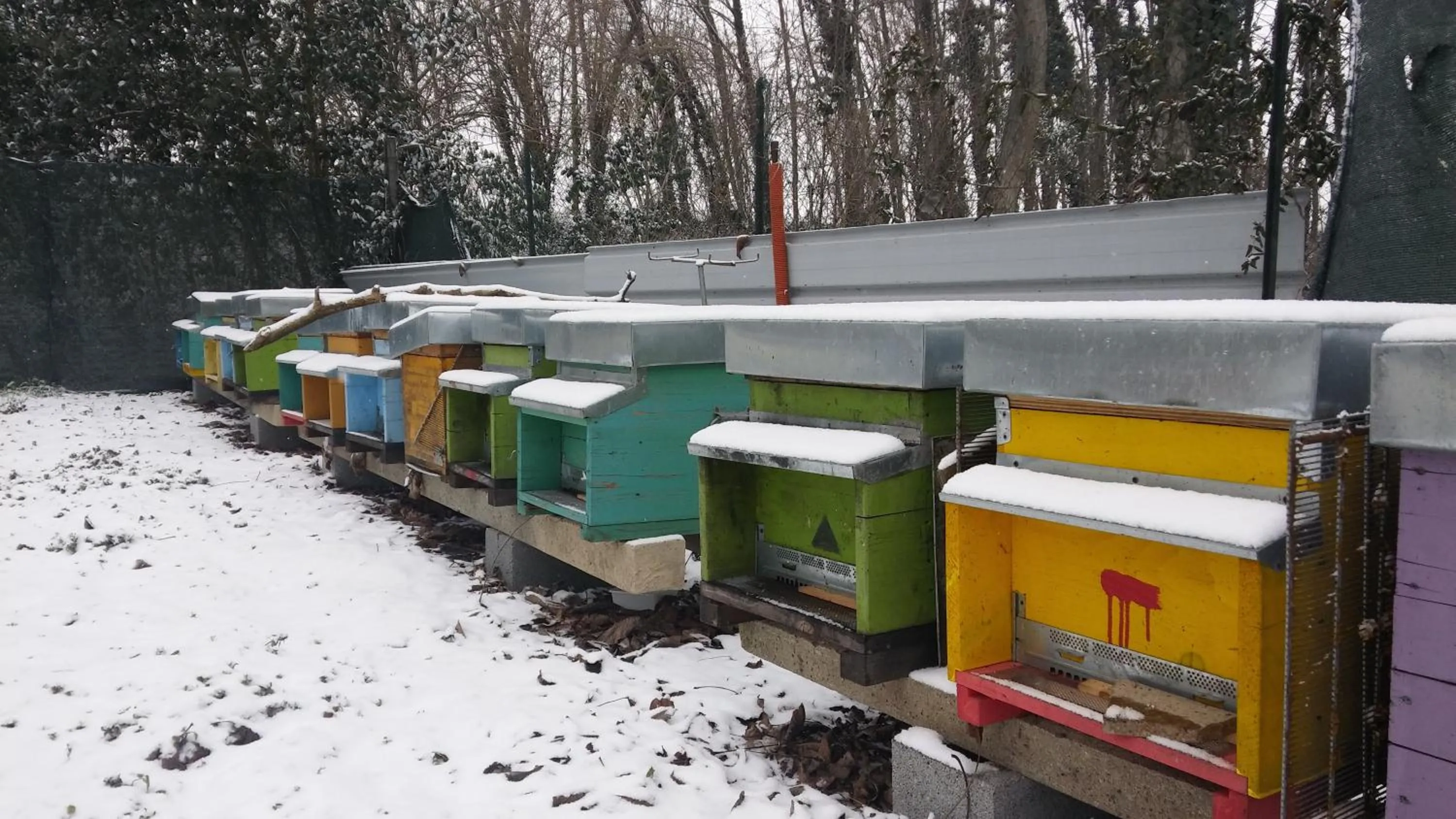 Agriturismo Honey Farm