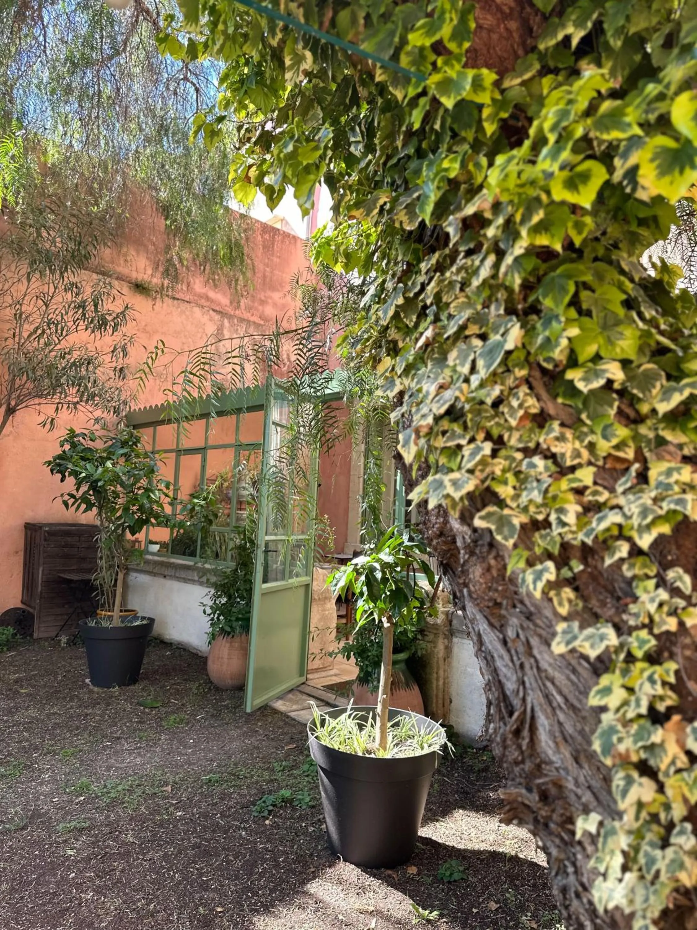 Garden view in Aumes Sweet Home Chambre d'Hôtes