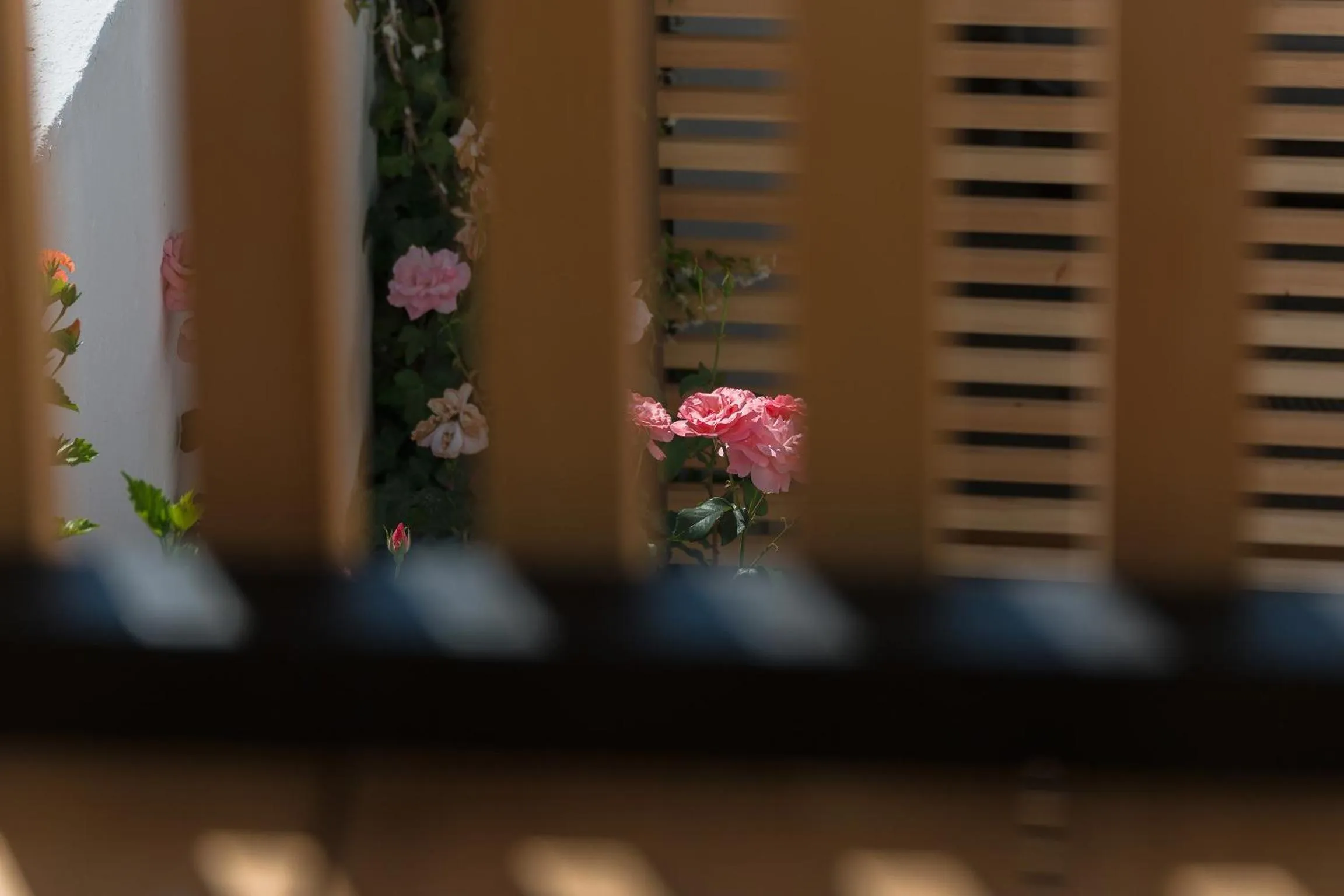 Day in Sodium Boutique Hotel