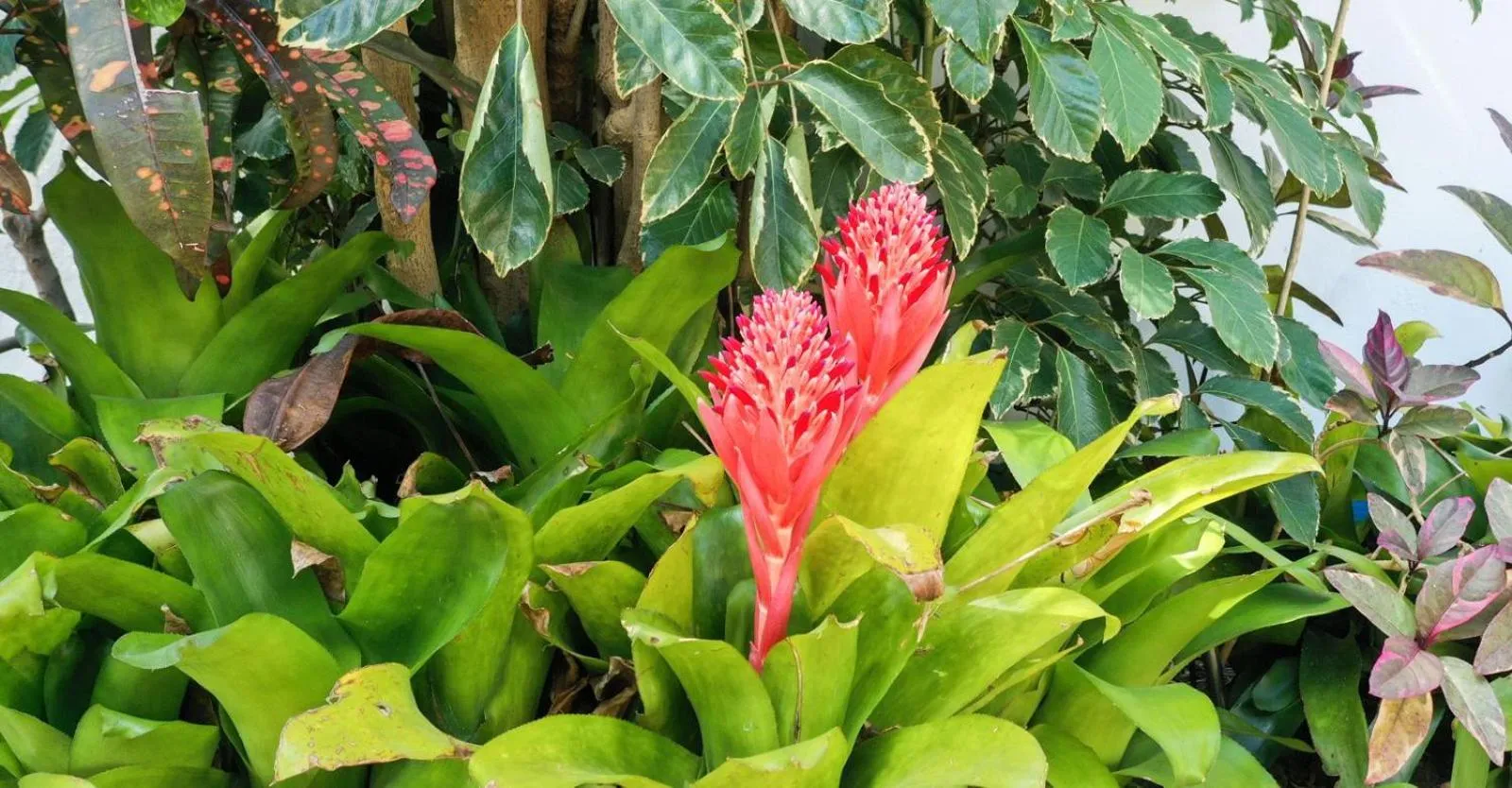 Complexo Alemanha - Vilanculos Backpacker