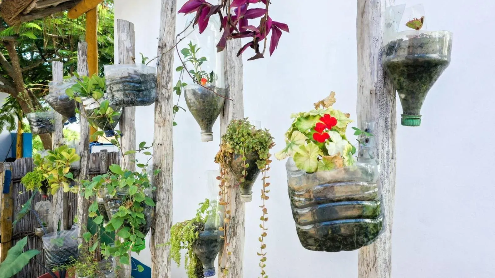 Complexo Alemanha - Vilanculos Backpacker