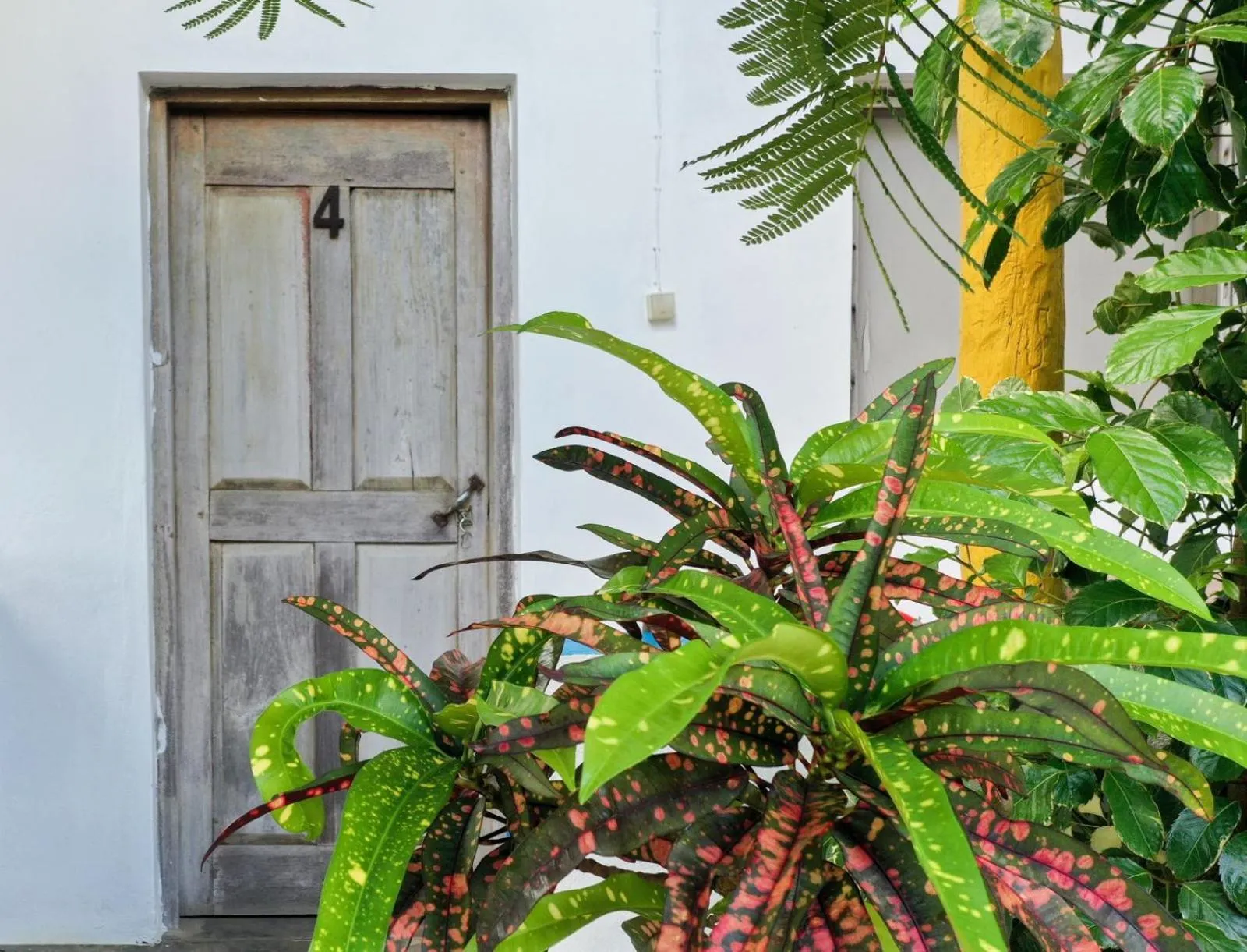 Complexo Alemanha - Vilanculos Backpacker