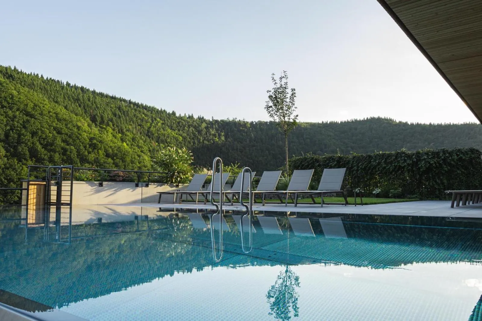 Pool view in Weinhaus Nigl - Hotel, Restaurant und Spa