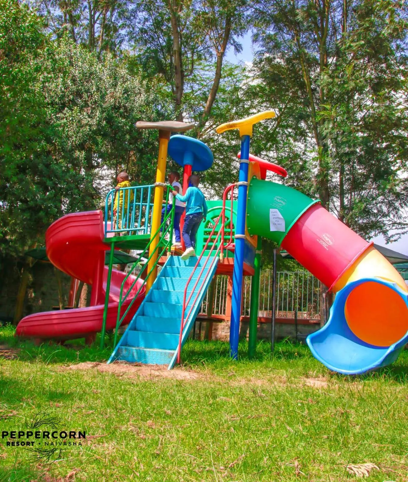 Children play ground in Naivasha Peppercorn Holiday Resort