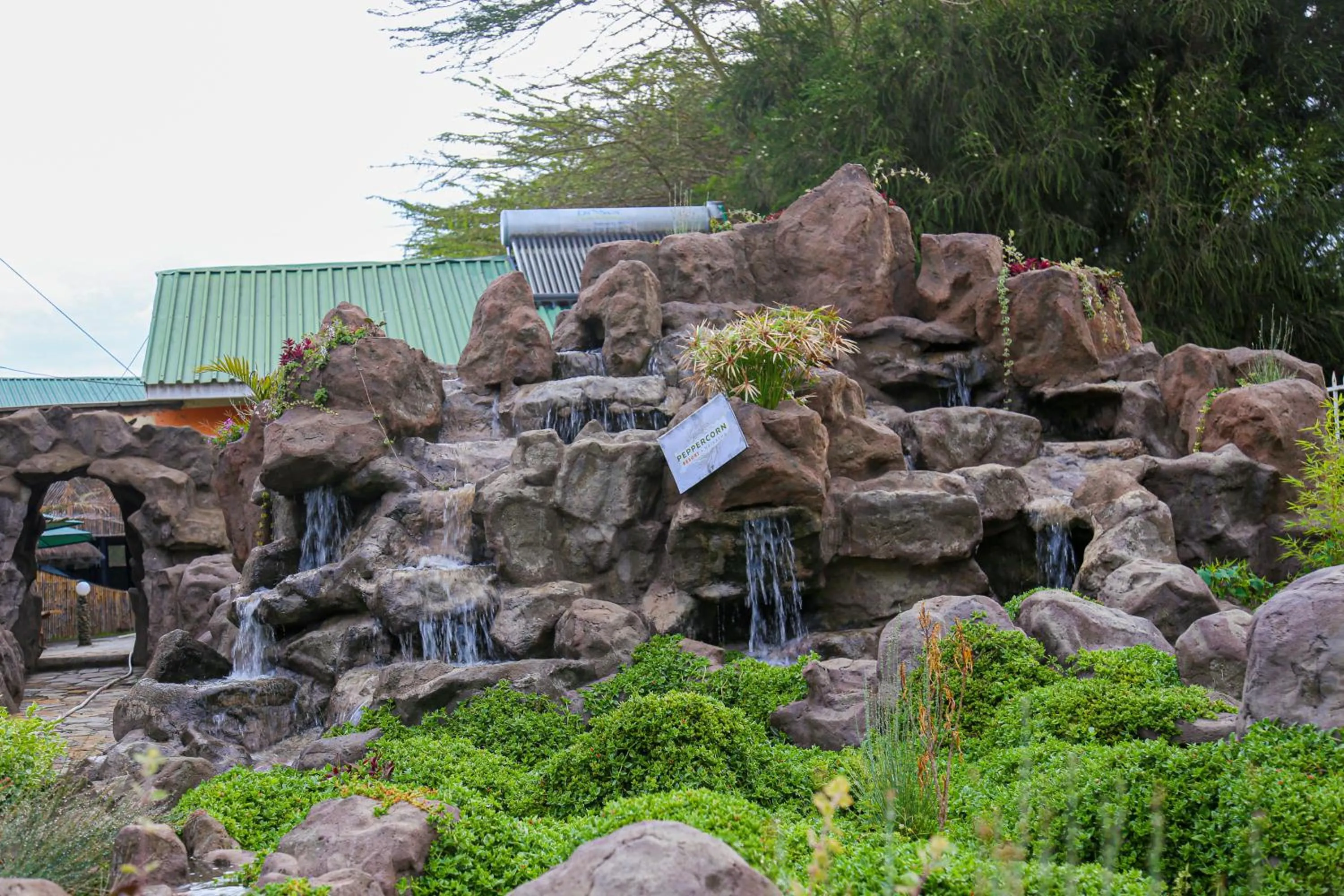 Spring in Naivasha Peppercorn Holiday Resort