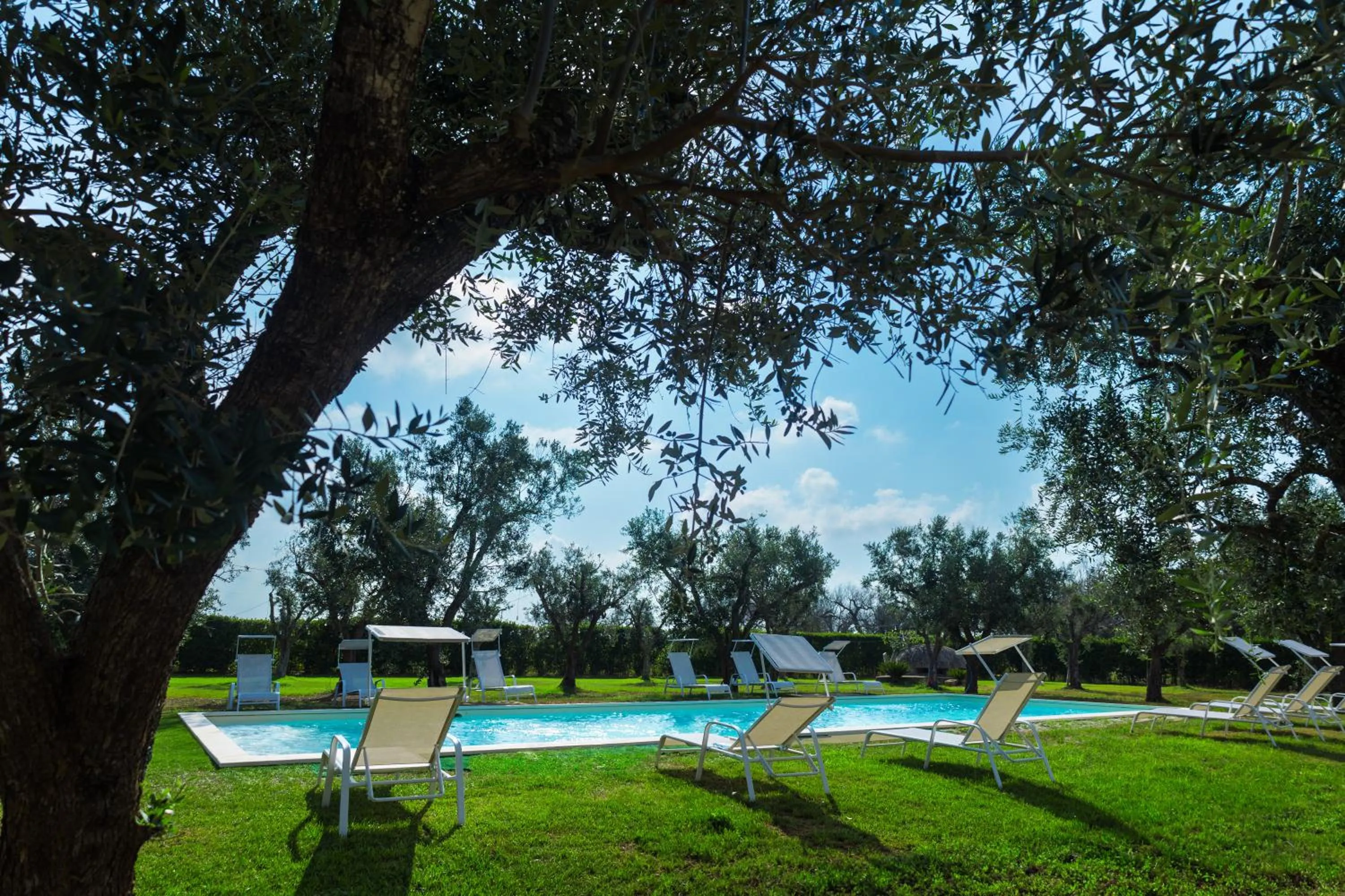 Pool view in Masseria Monache