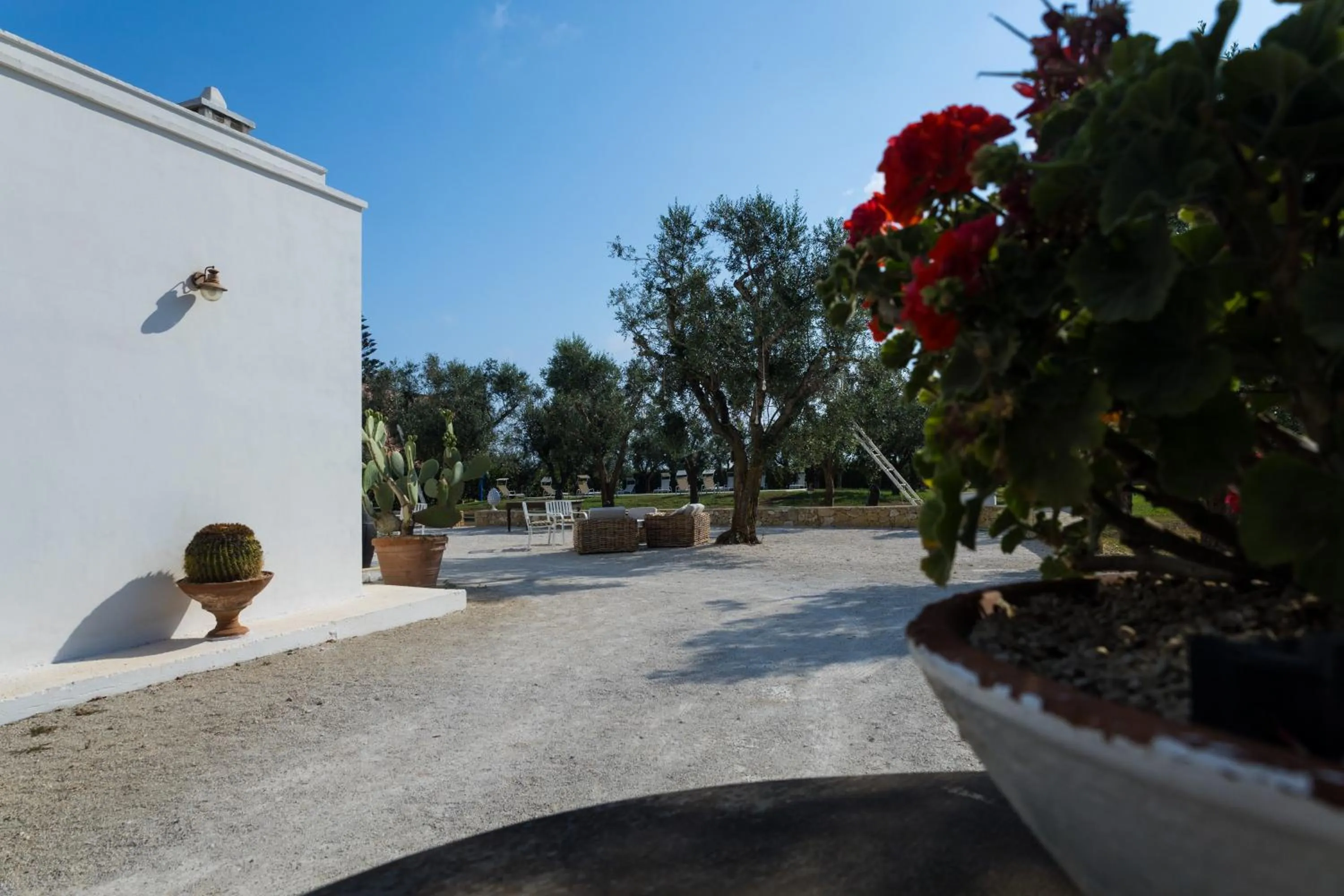 Garden in Masseria Monache