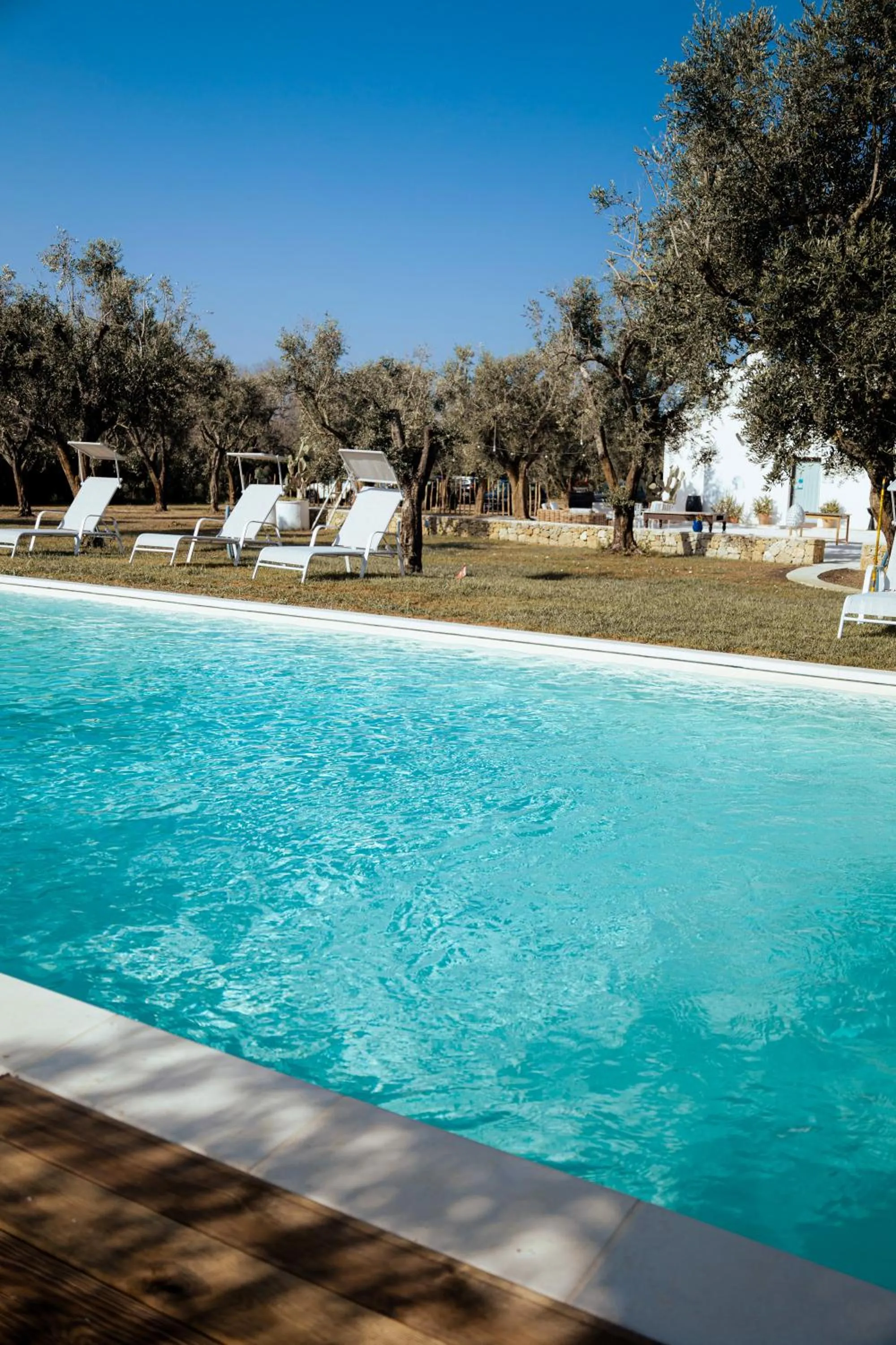 Natural landscape in Masseria Monache