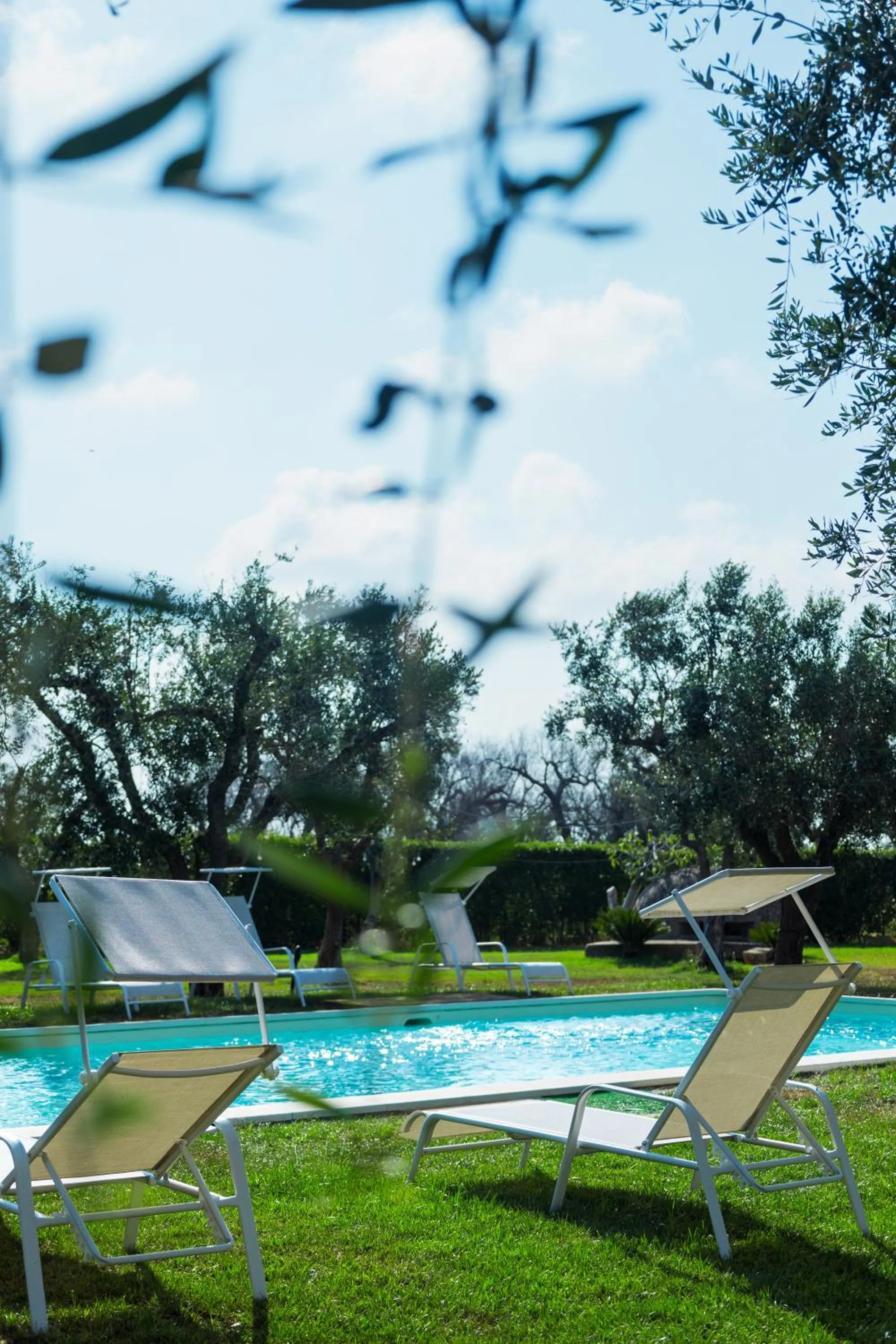 Pool view in Masseria Monache