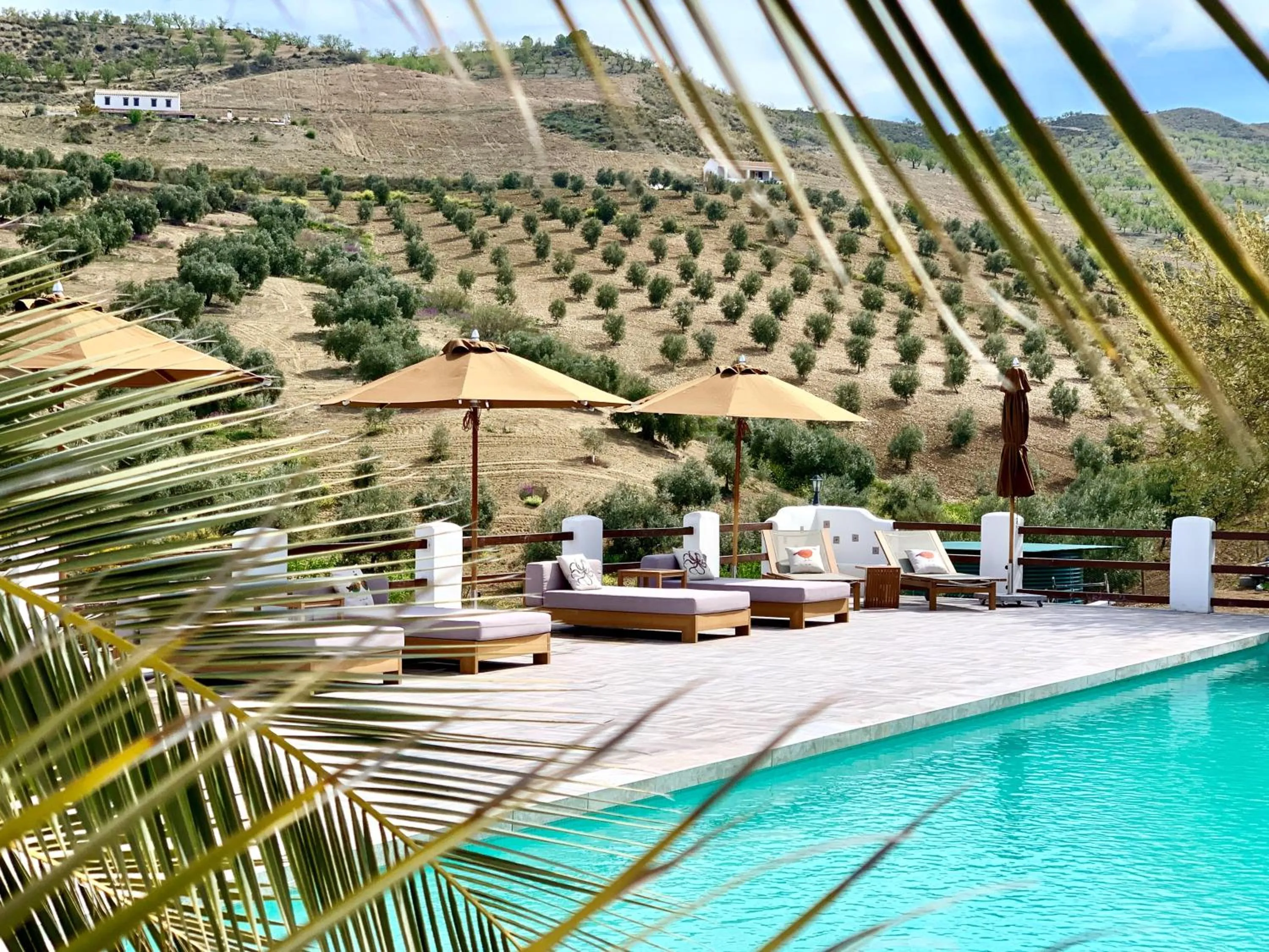 Swimming pool in El Amparo