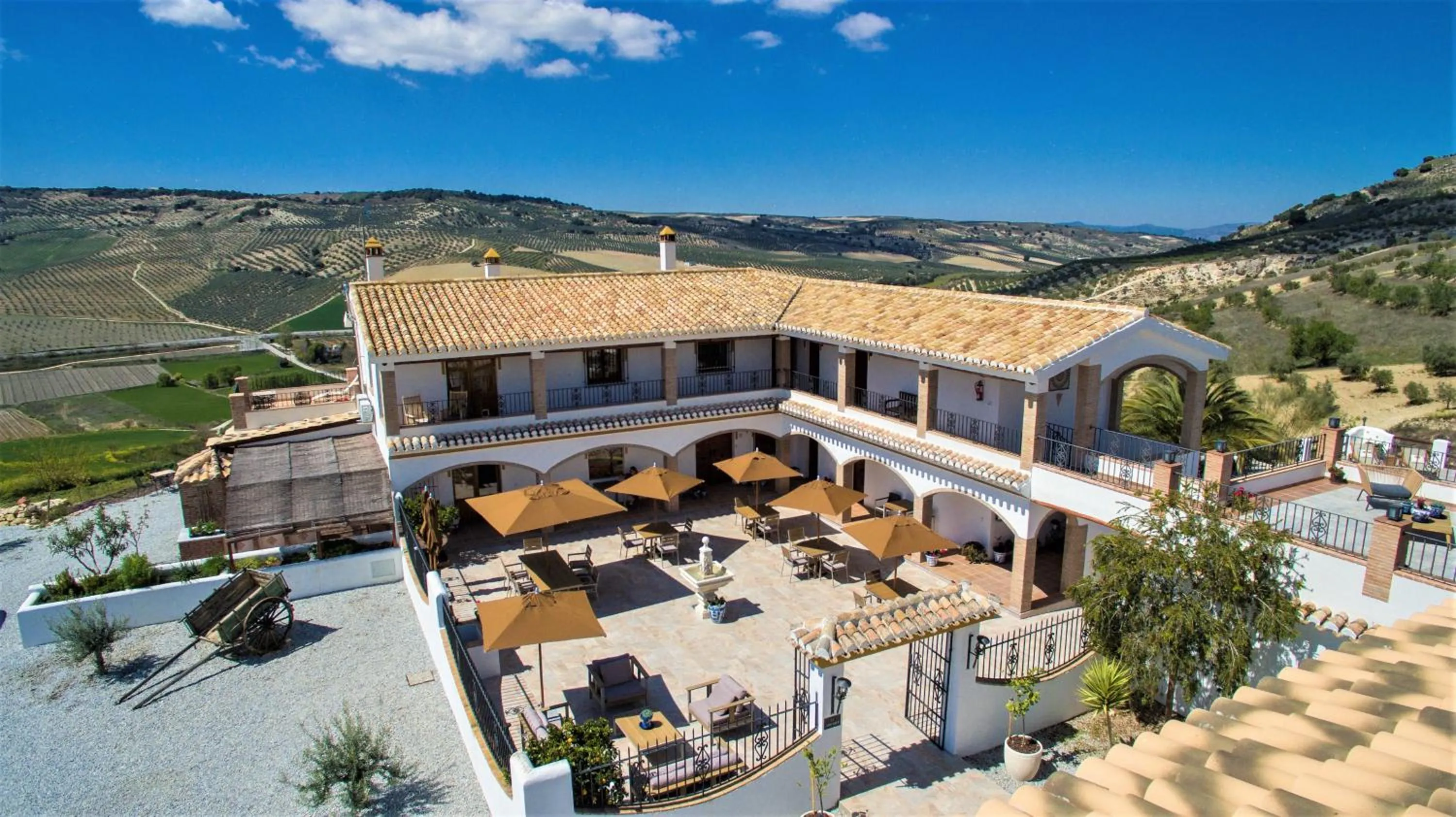 Restaurant/places to eat in El Amparo