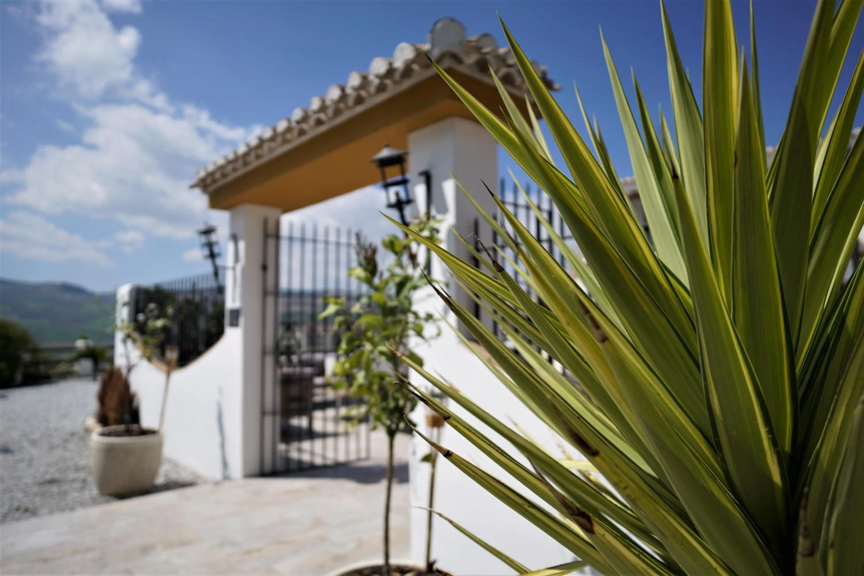 Balcony/Terrace in El Amparo