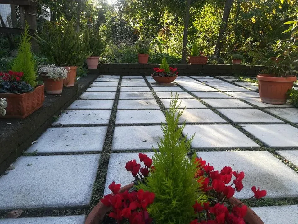 Garden in Villino L'Aranceto Sorrentino