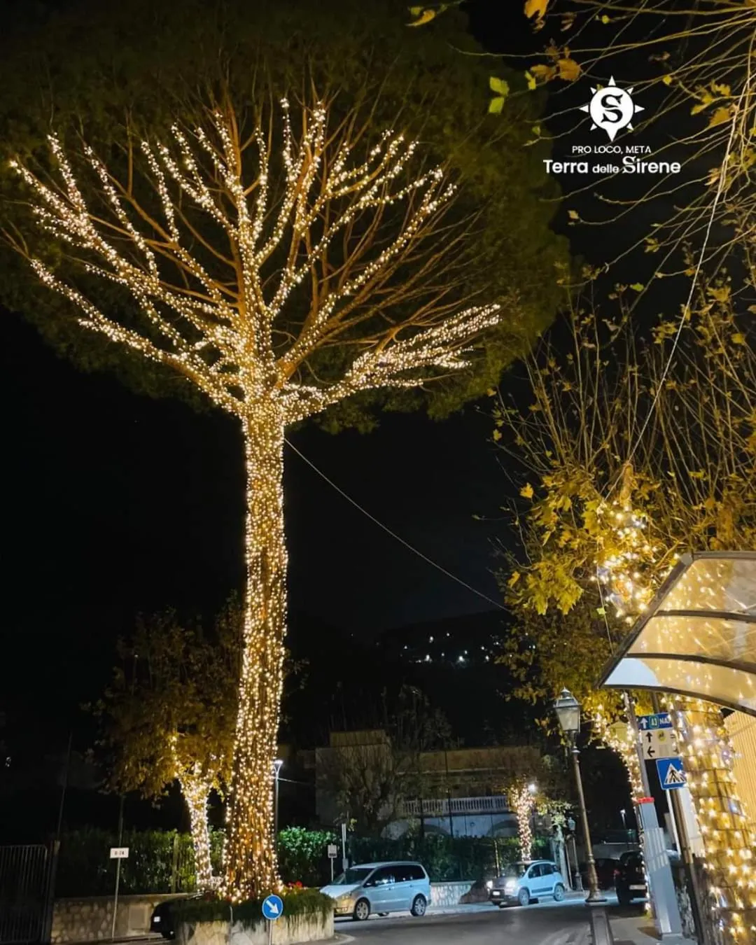 Villino L'Aranceto Sorrentino