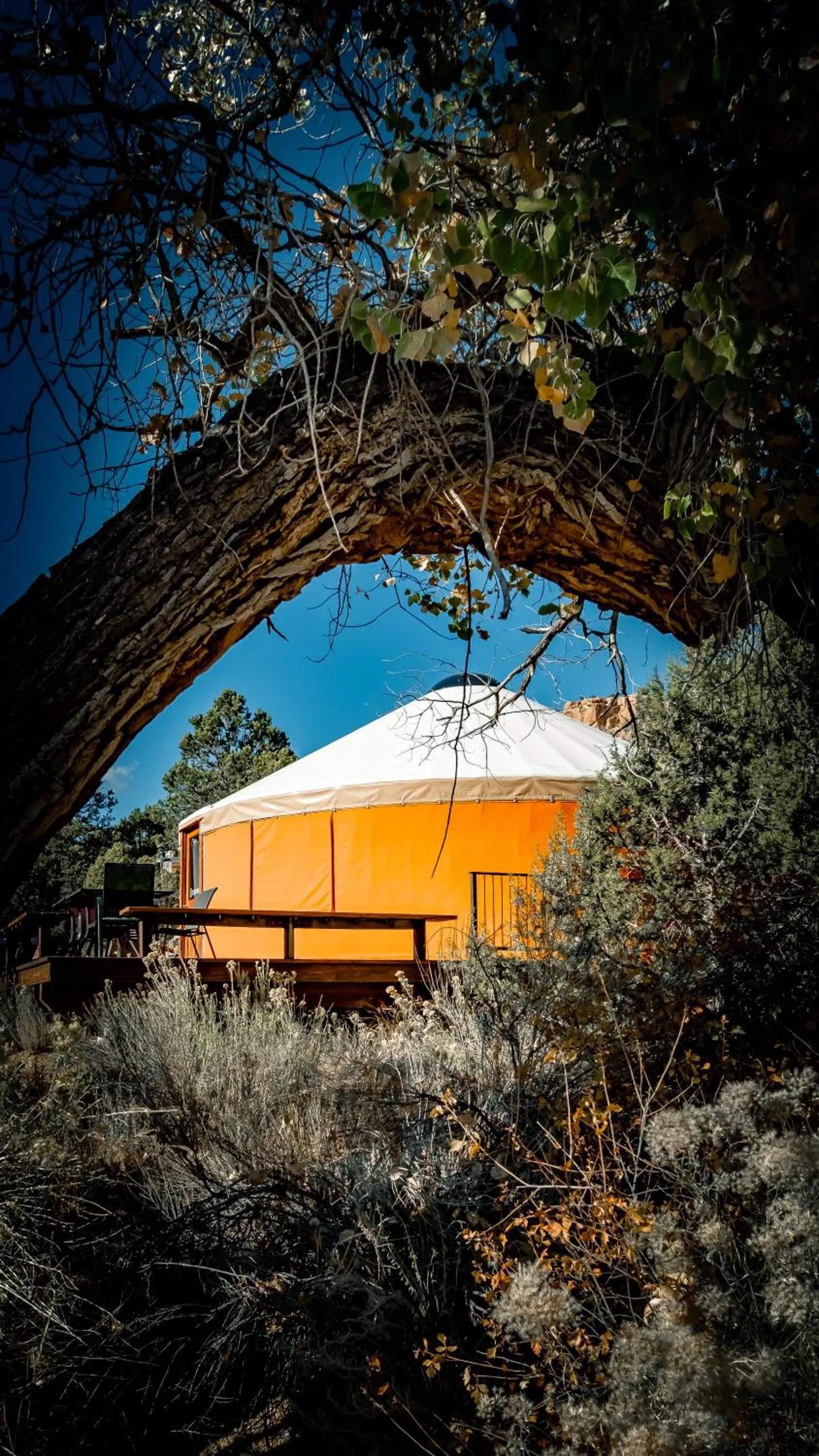 Day in Escalante Yurts - Luxury Lodging