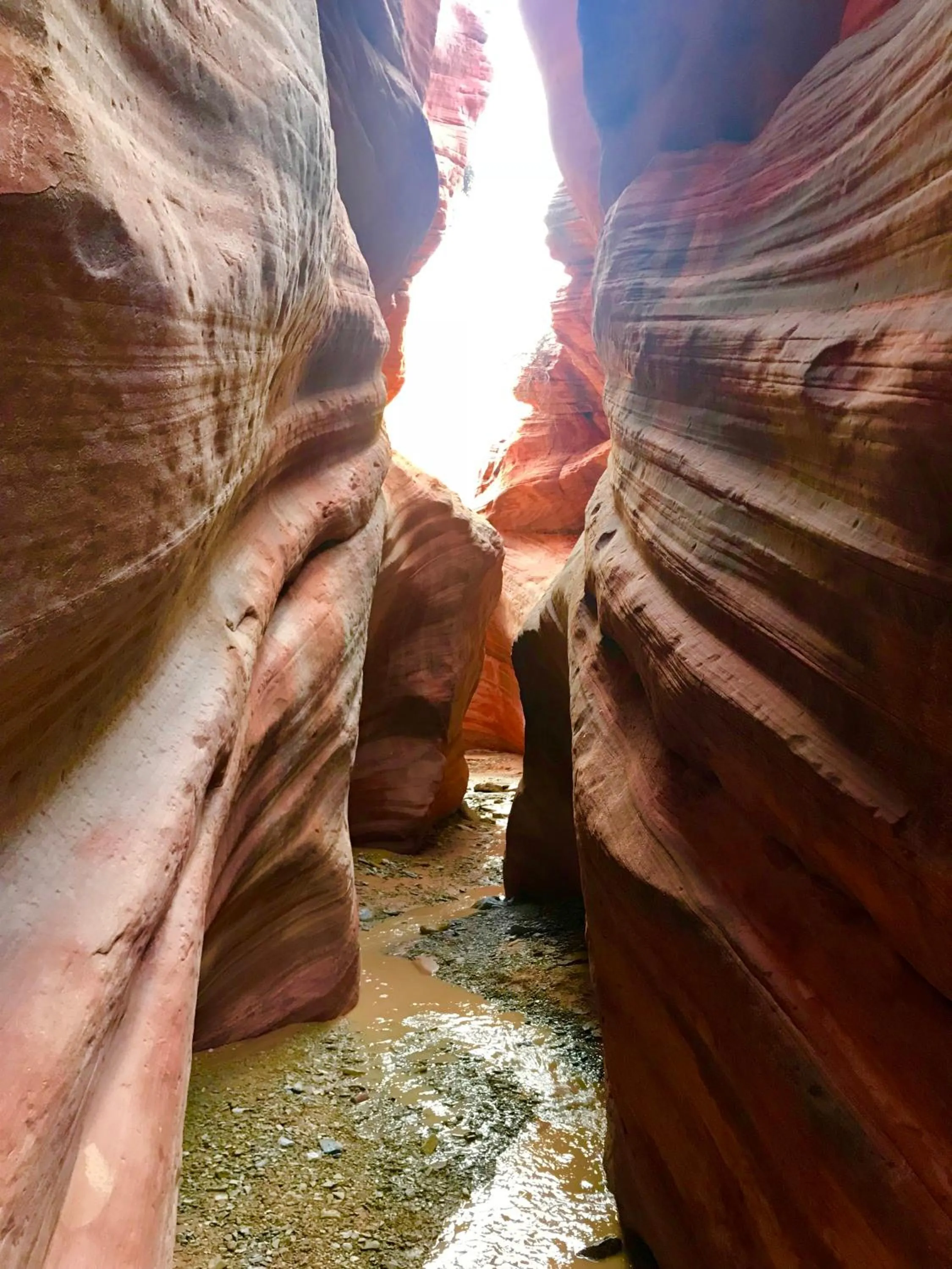 Nearby landmark in Escalante Yurts - Luxury Lodging