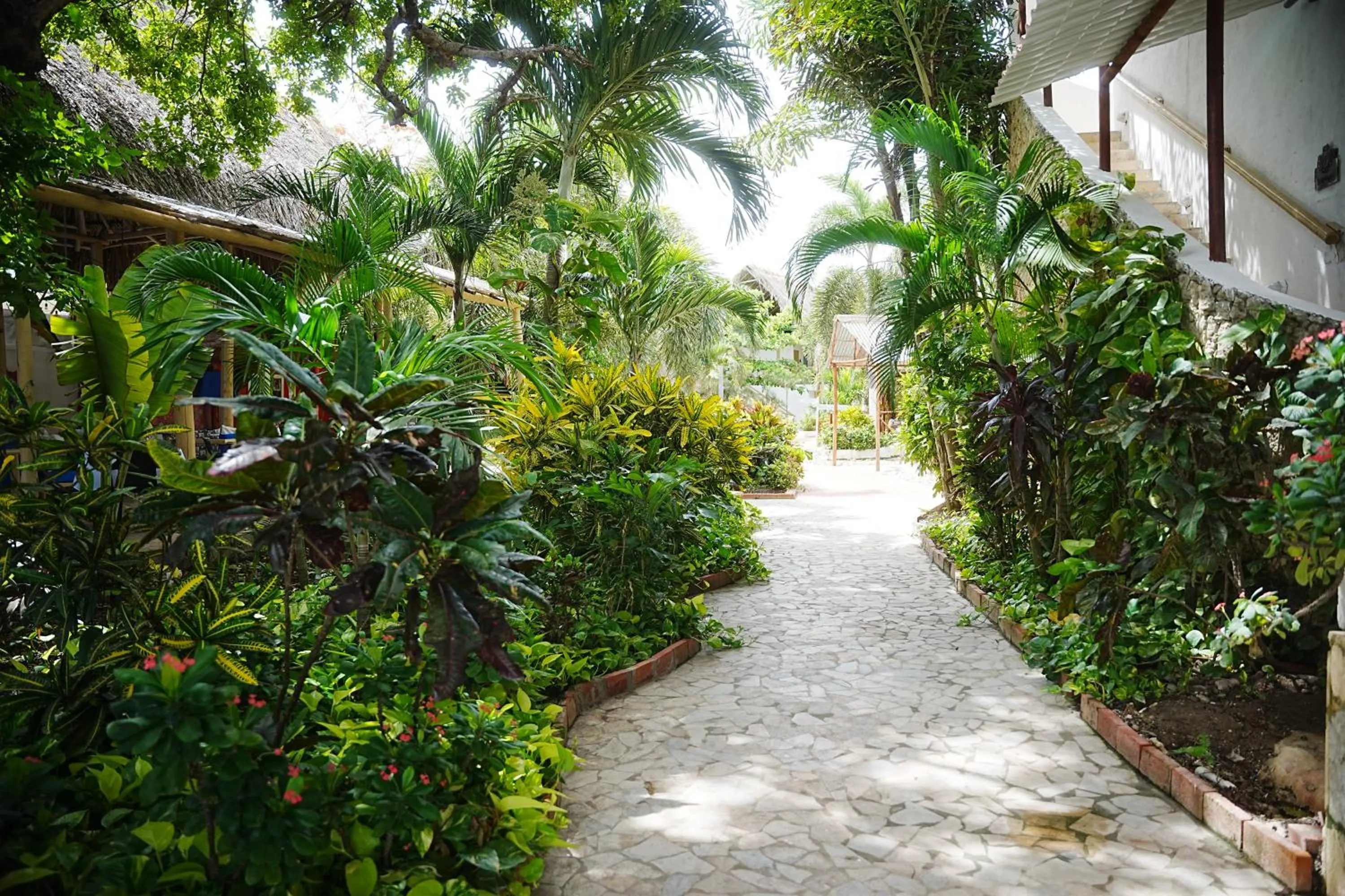 Garden in Hotel Isla Real