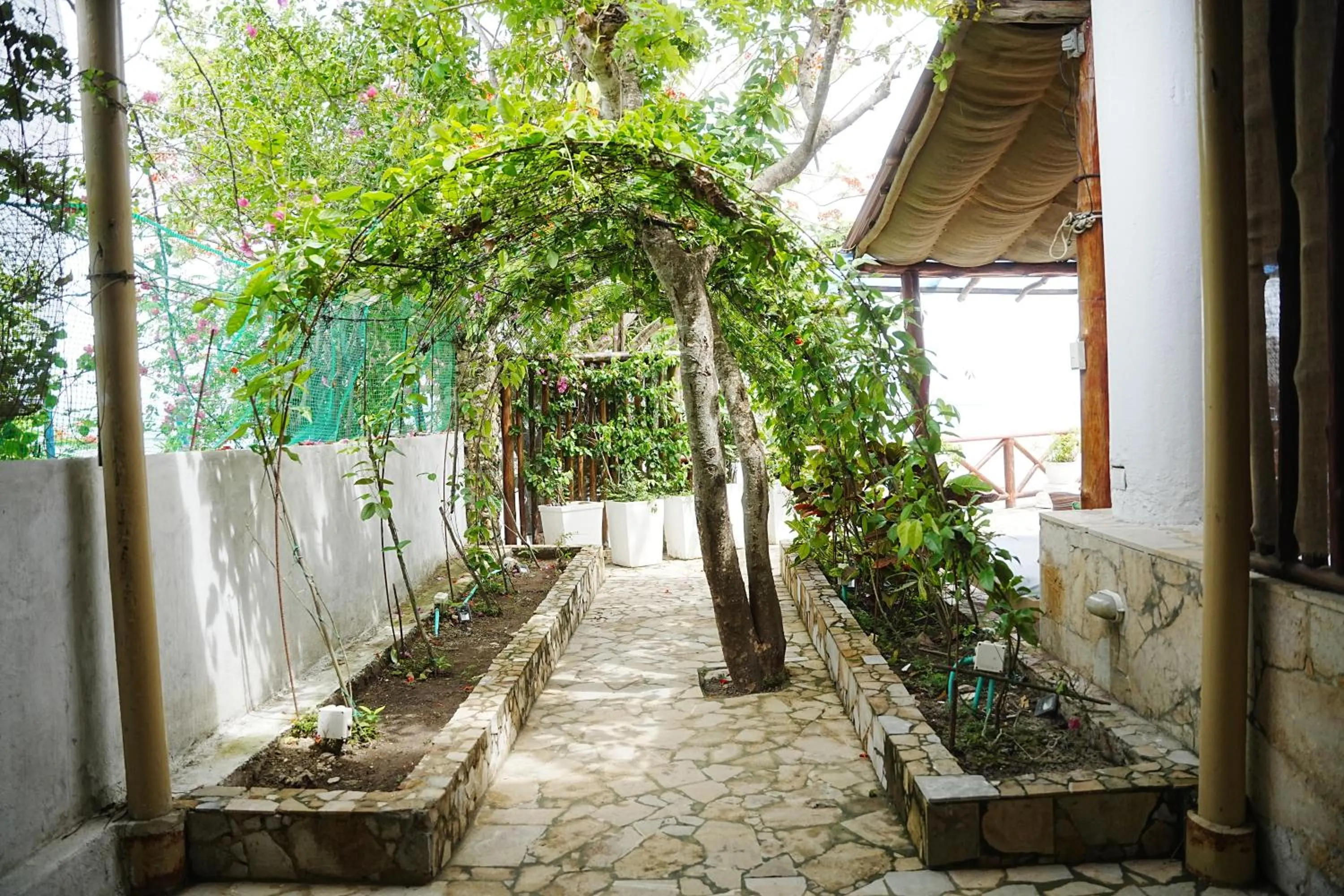 Garden view in Hotel Isla Real