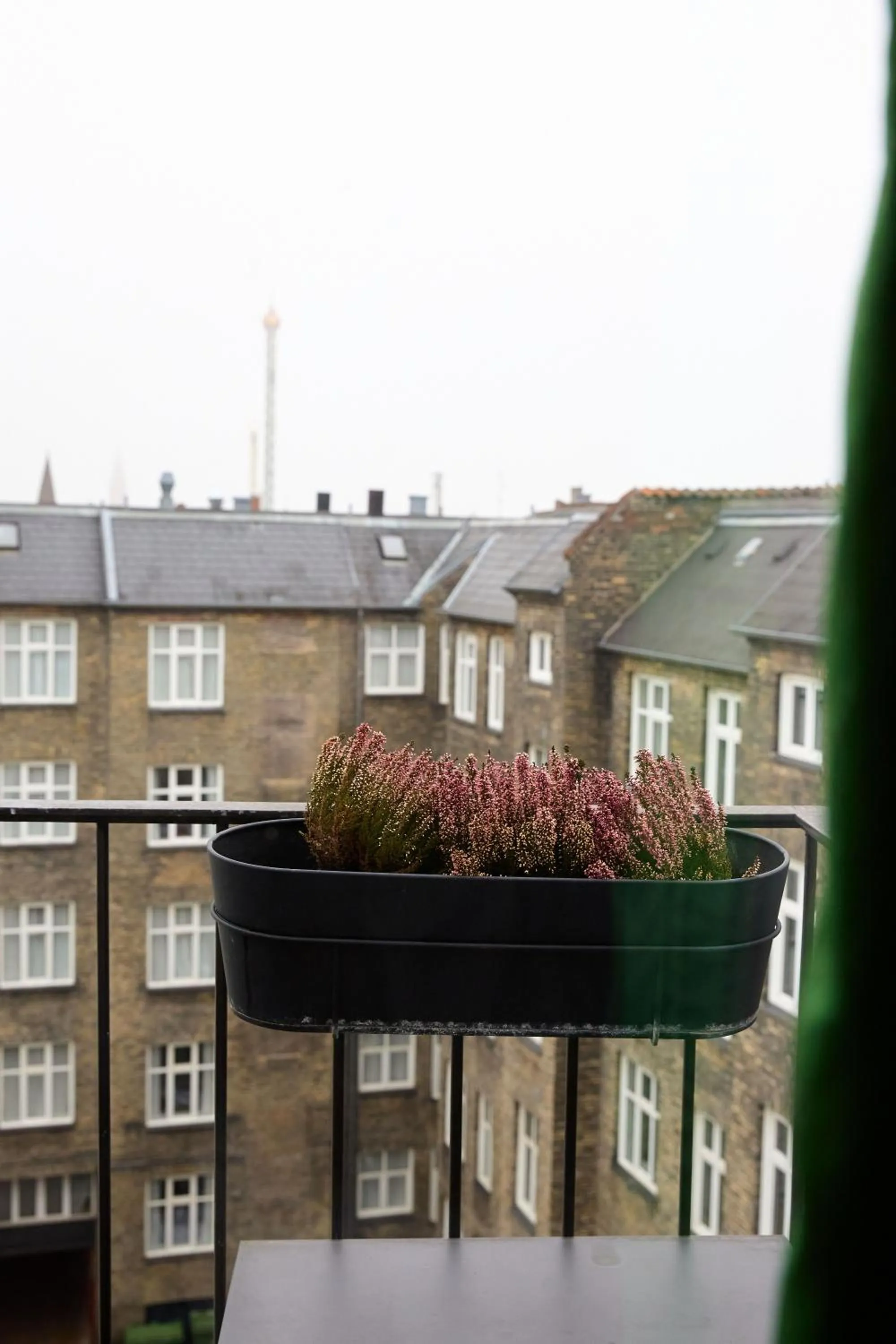 View (from property/room) in Absalon Hotel