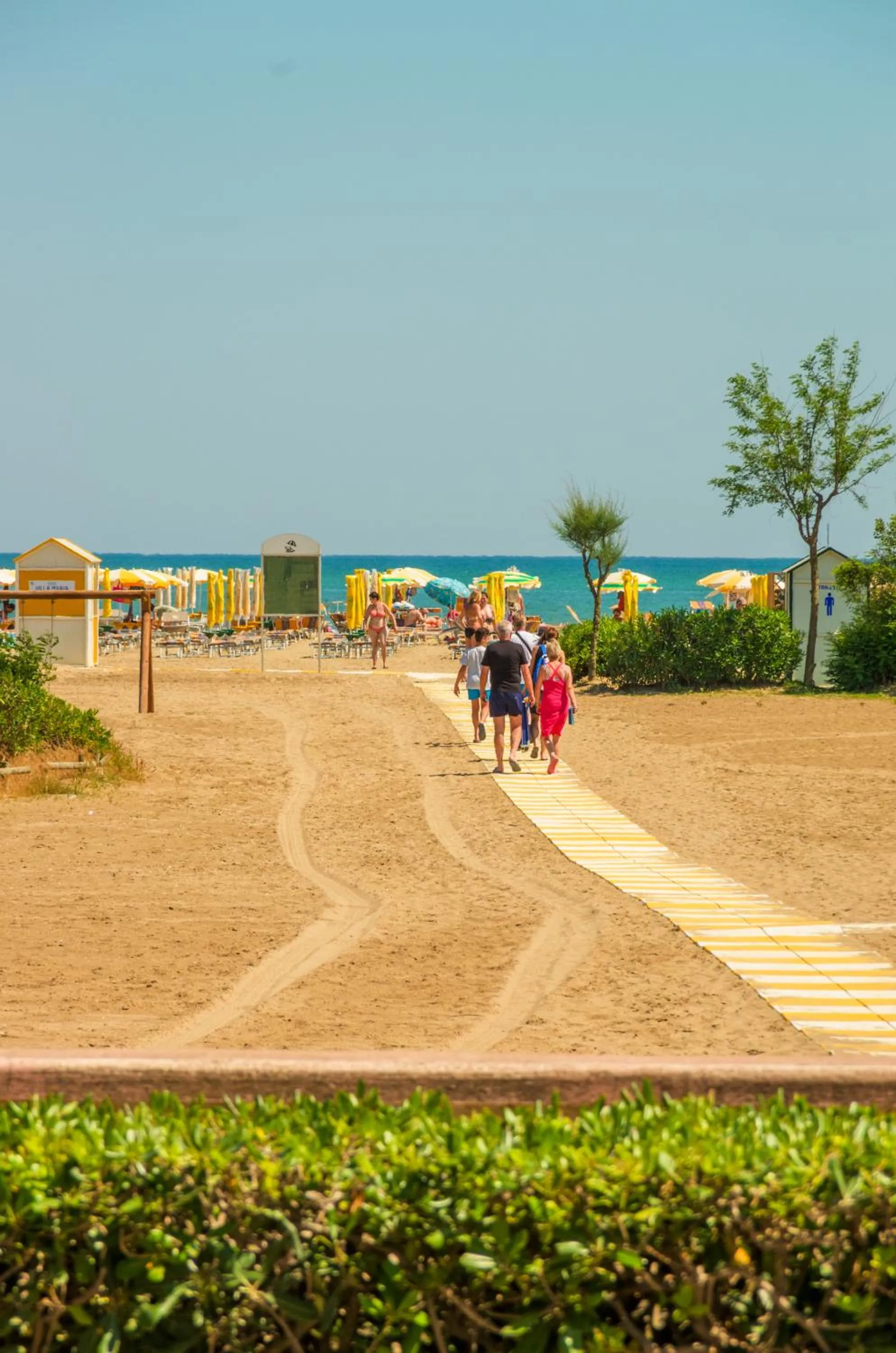 Activities in Villa Delfa