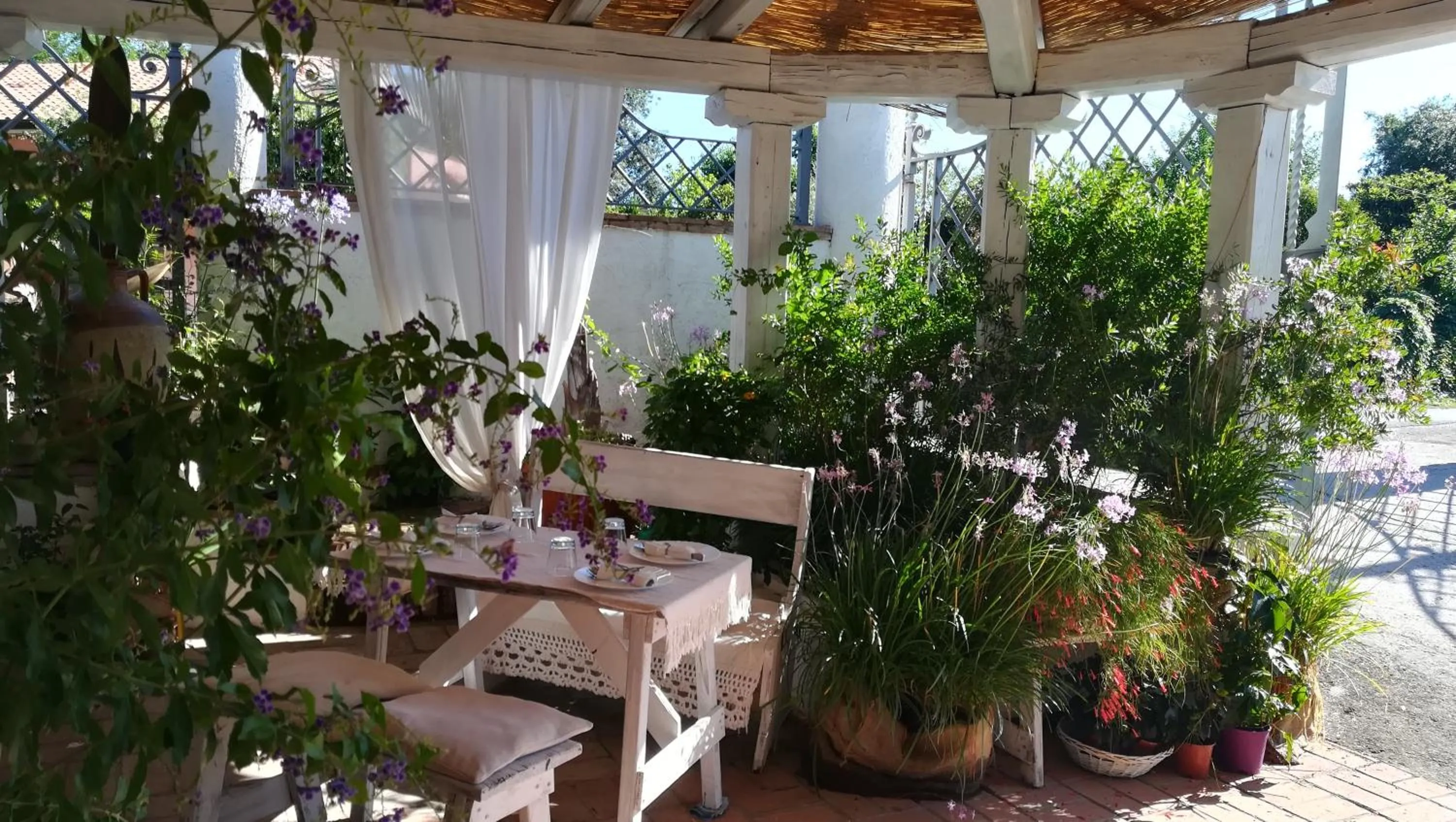 Italian breakfast in Baia D'Oro