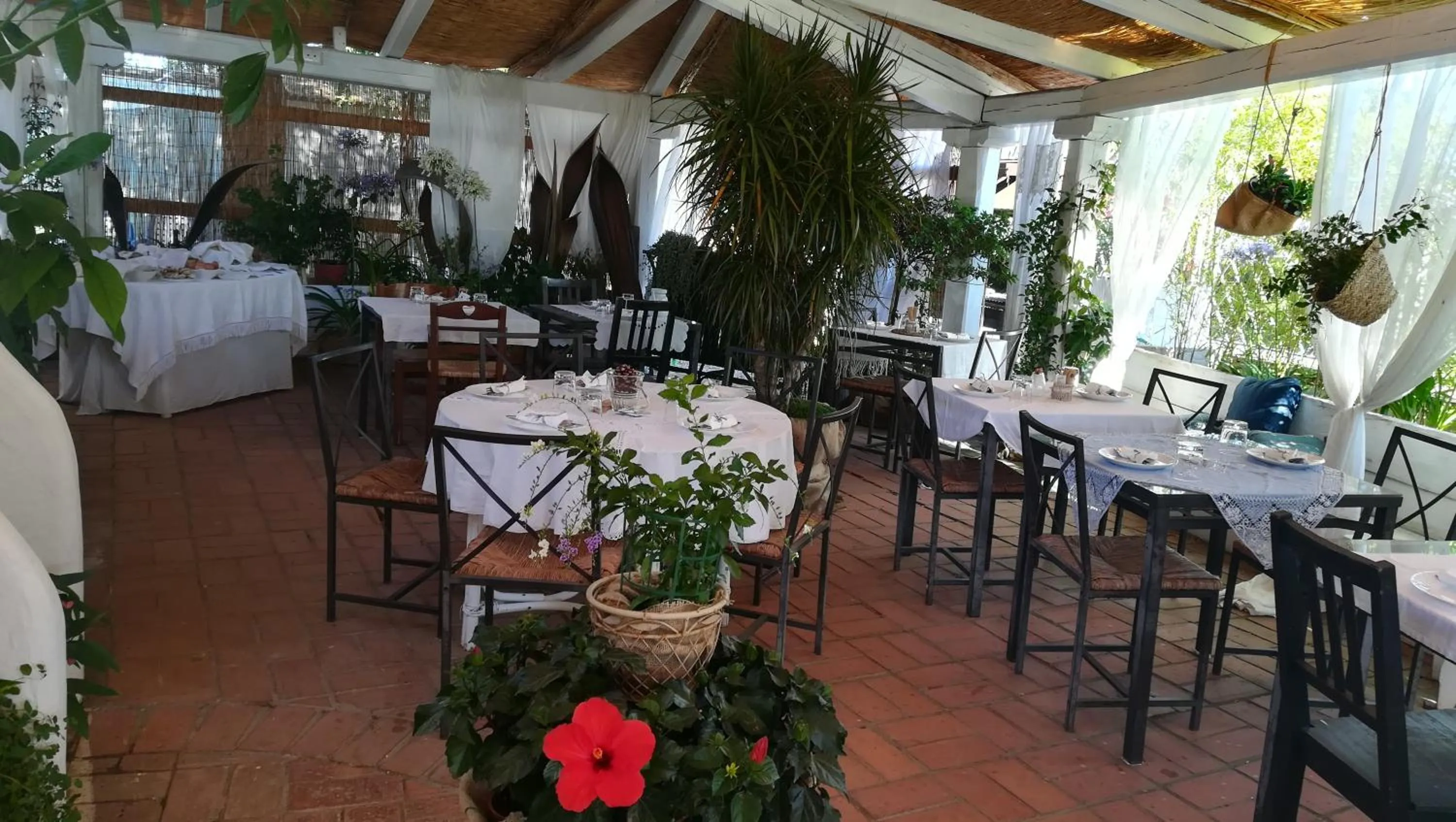 Italian breakfast in Baia D'Oro